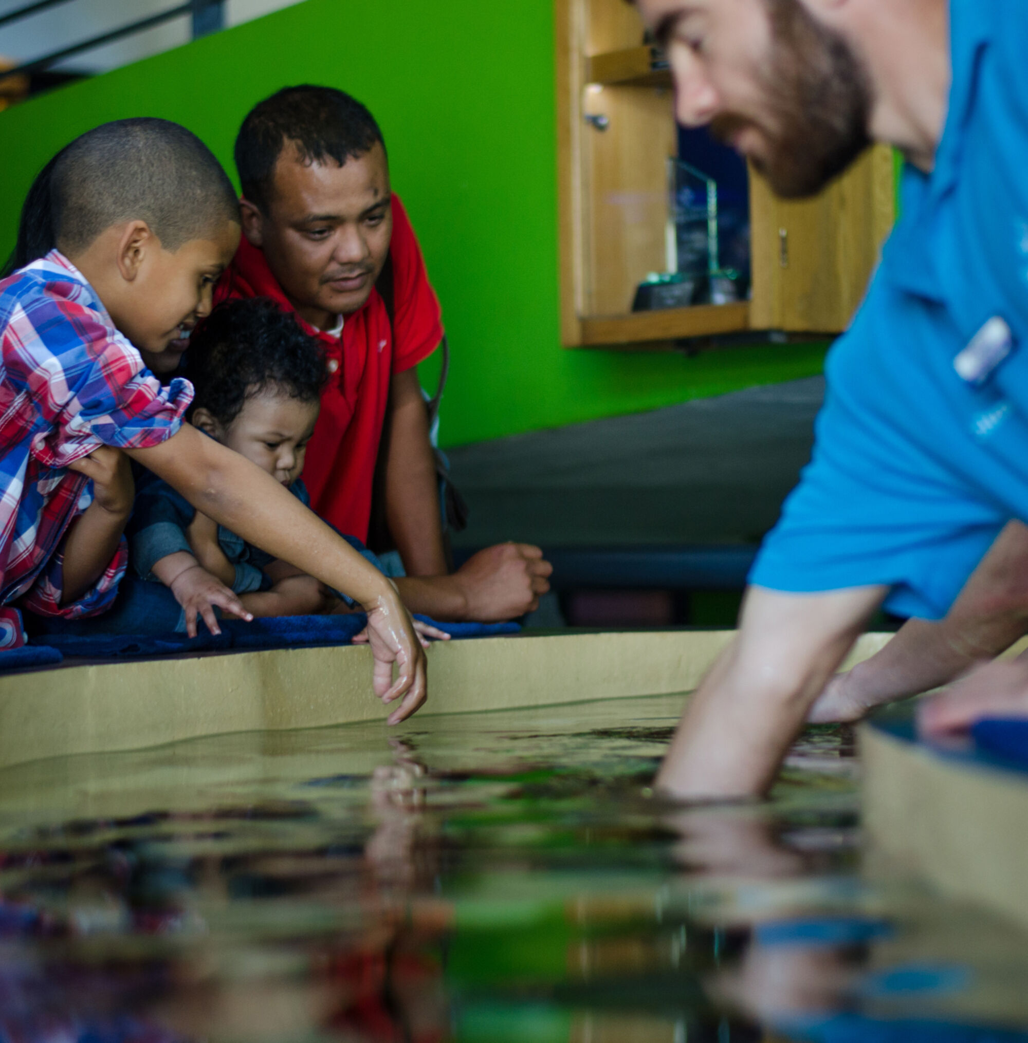 Top Attractions VA Waterfront Aquarium CTT Aquarium c Lisa Burnell 68