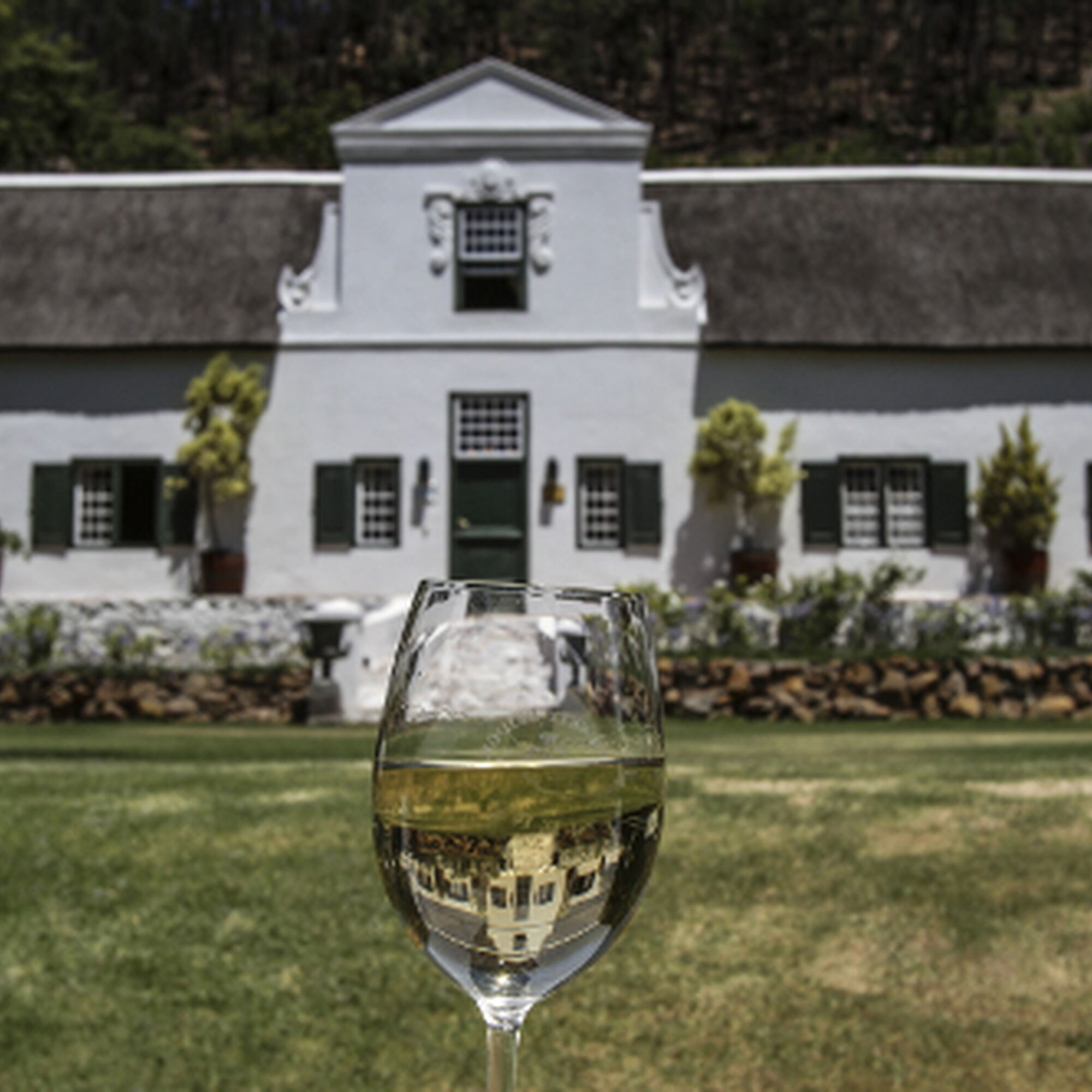 1538559812020 V1l4 PRO6t S