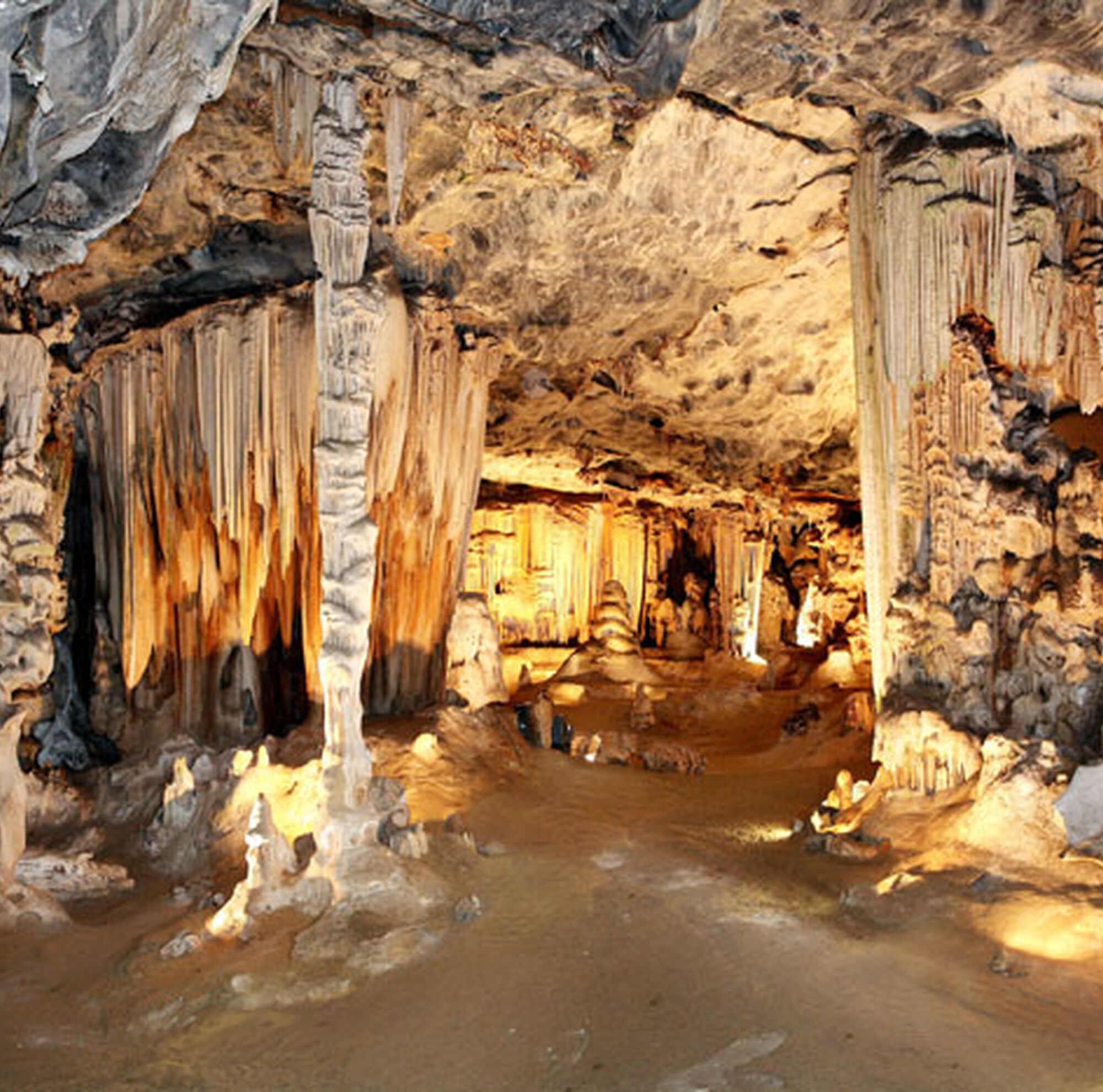 1510654715404 41ln M Ghmk4