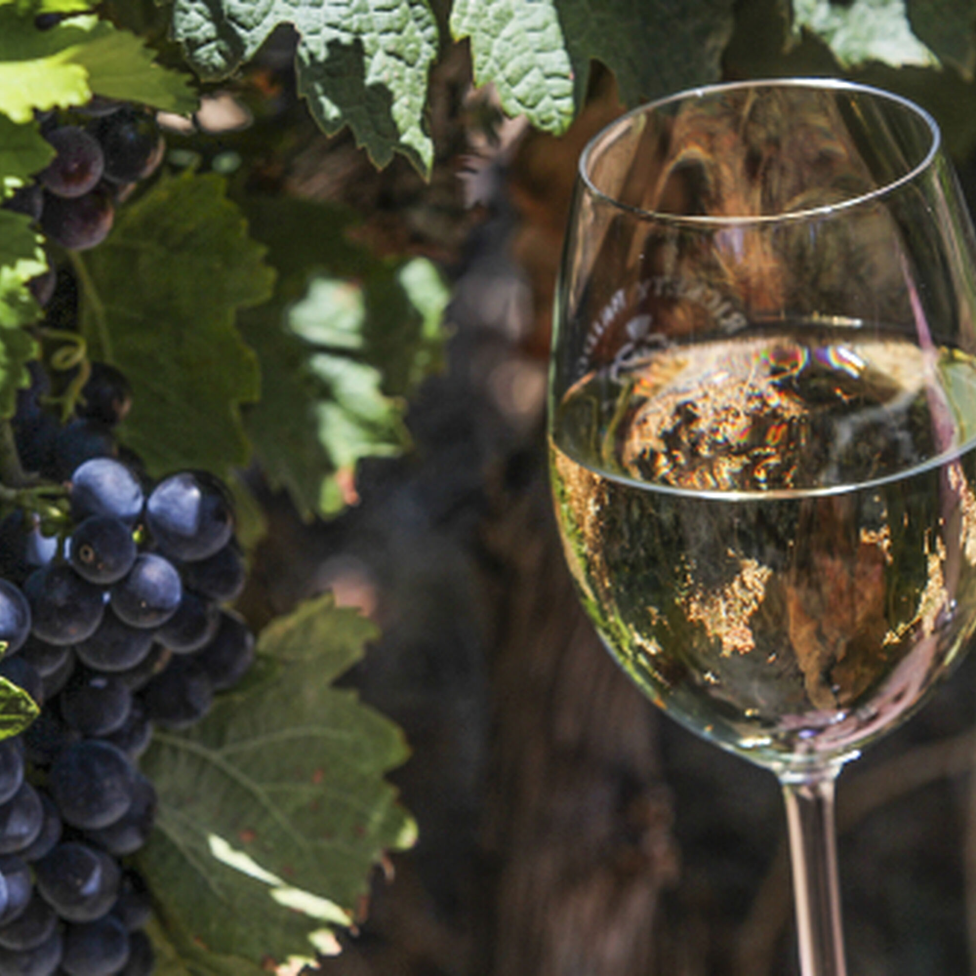 1505133386873 Eygsvzu1q7