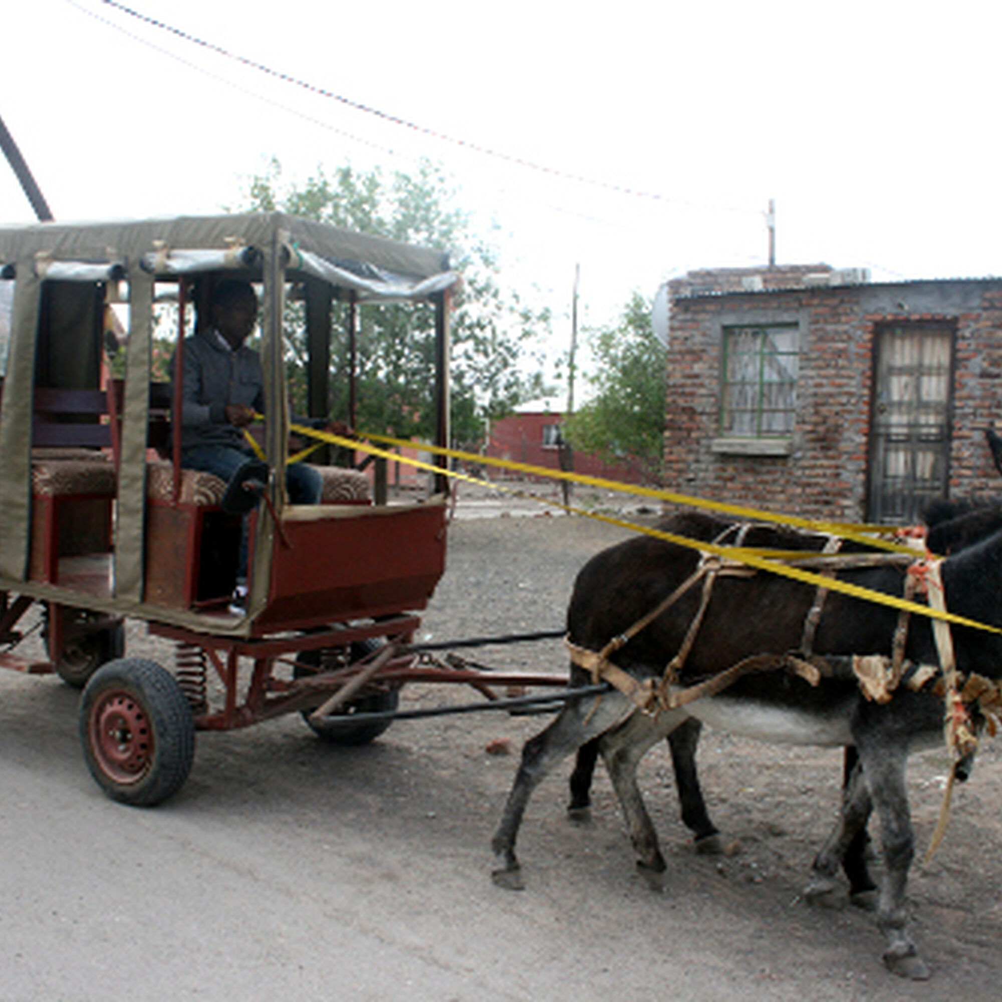 1505131399536 Nyxusqw J5m