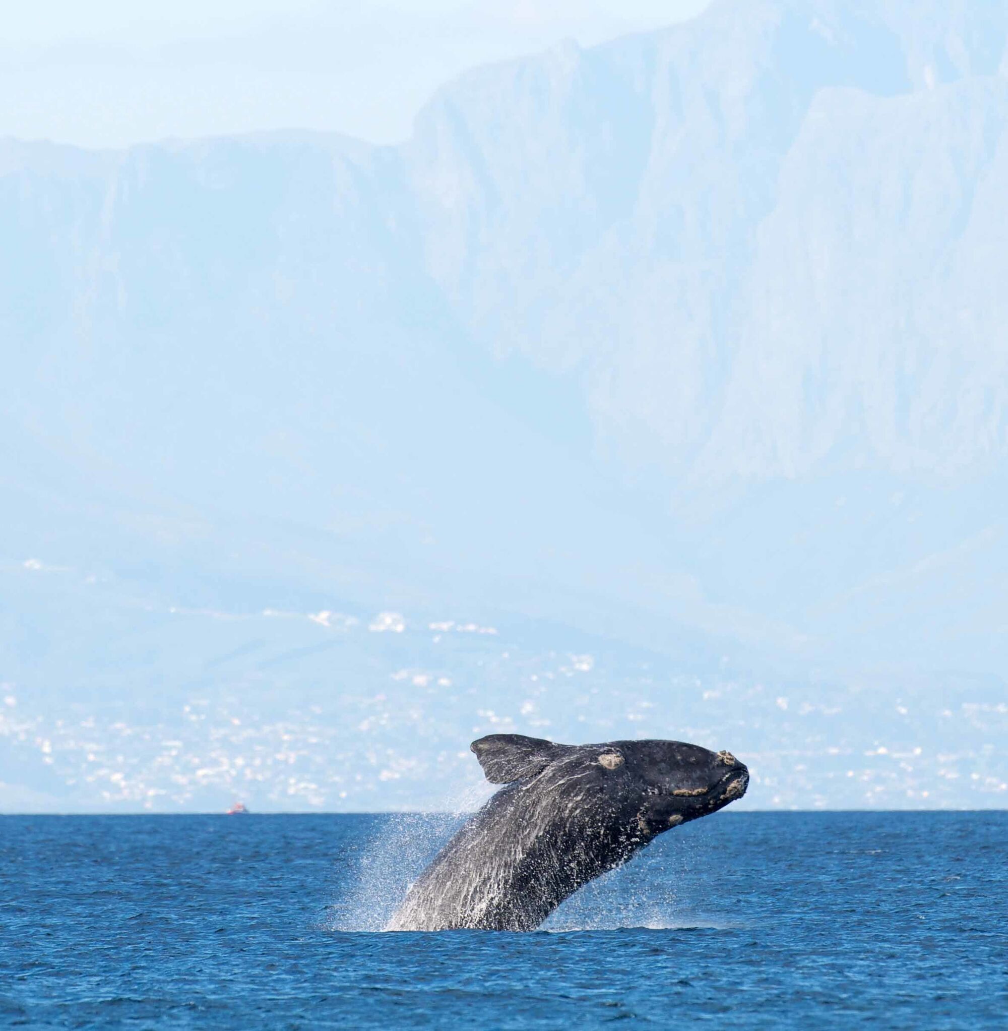 017d987f9a10e27db87ec13847533fab