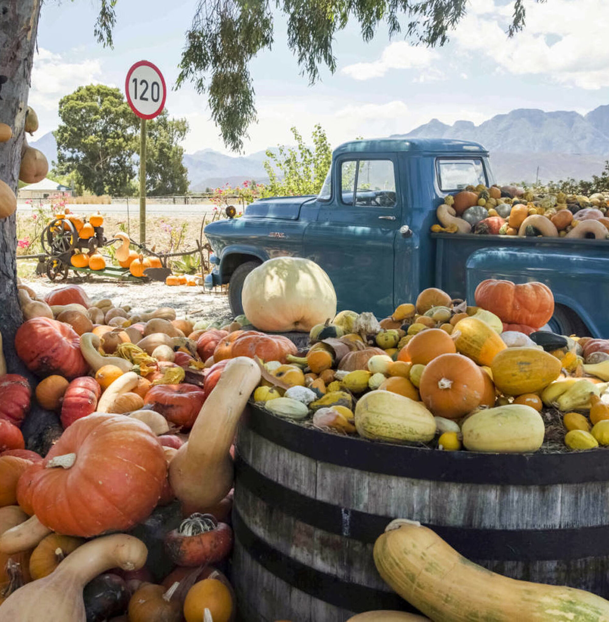 1570179382577 N1e P8 ee OD