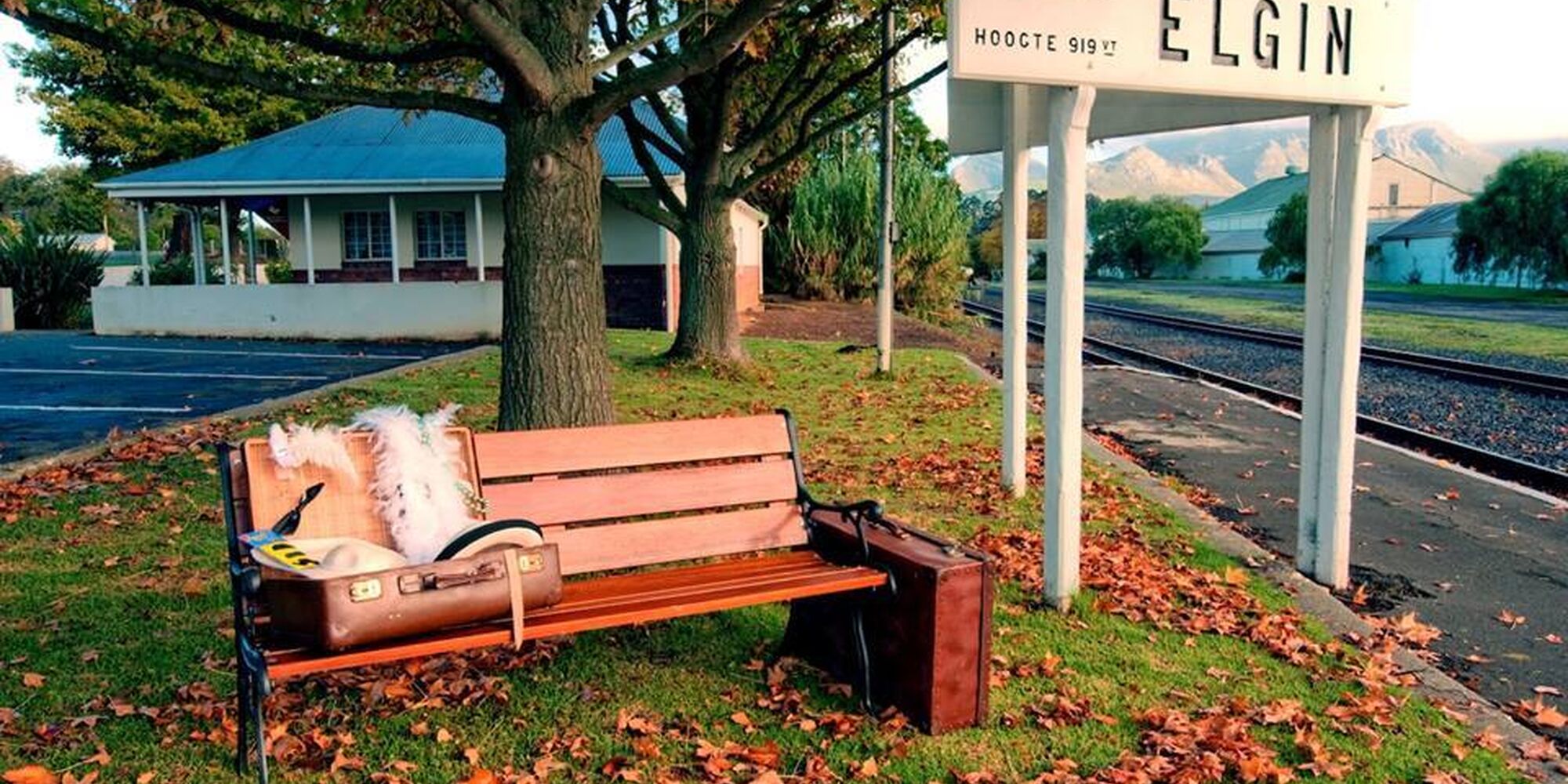 D1b559fff1dac63597633bf2826ec797