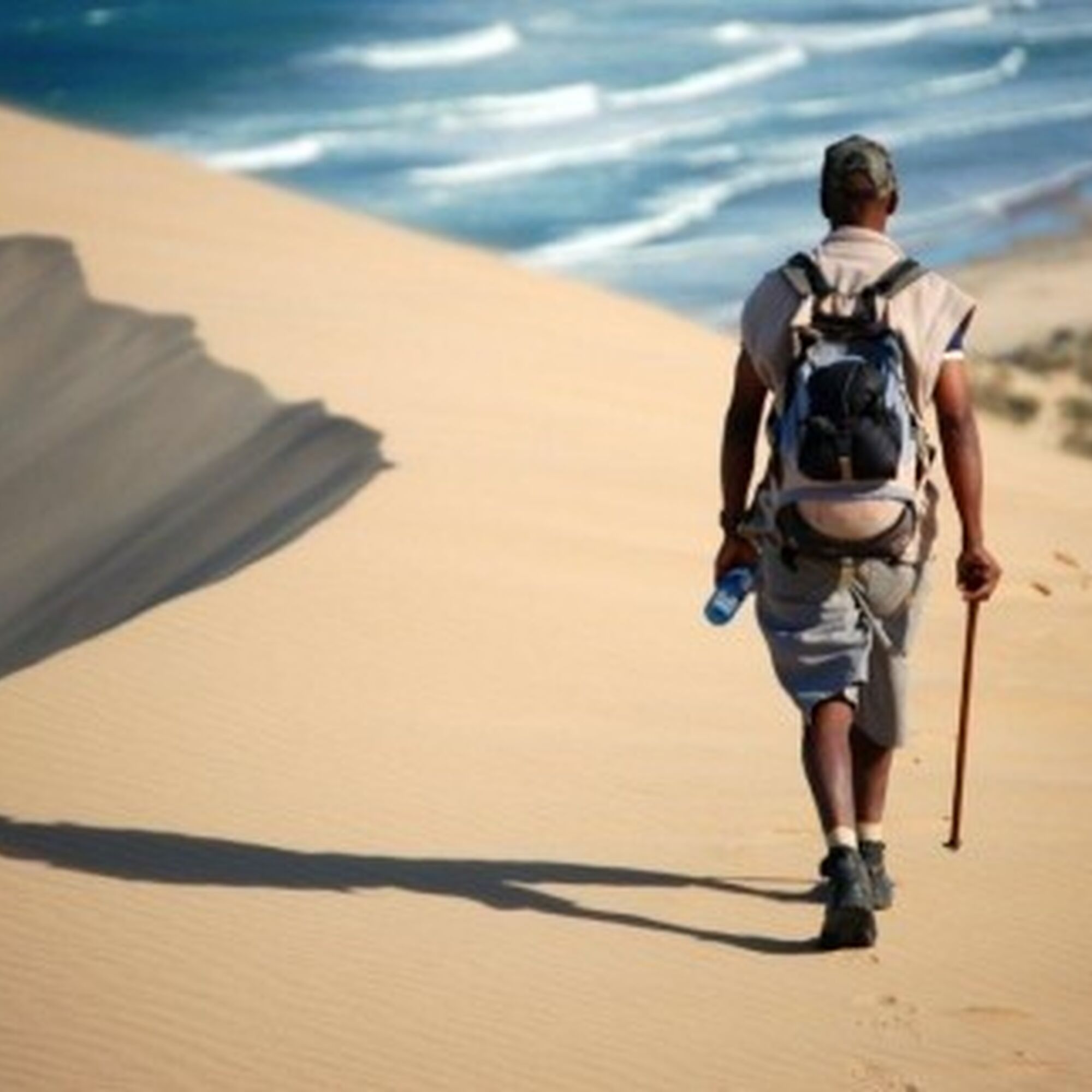 1448870351451 oyster