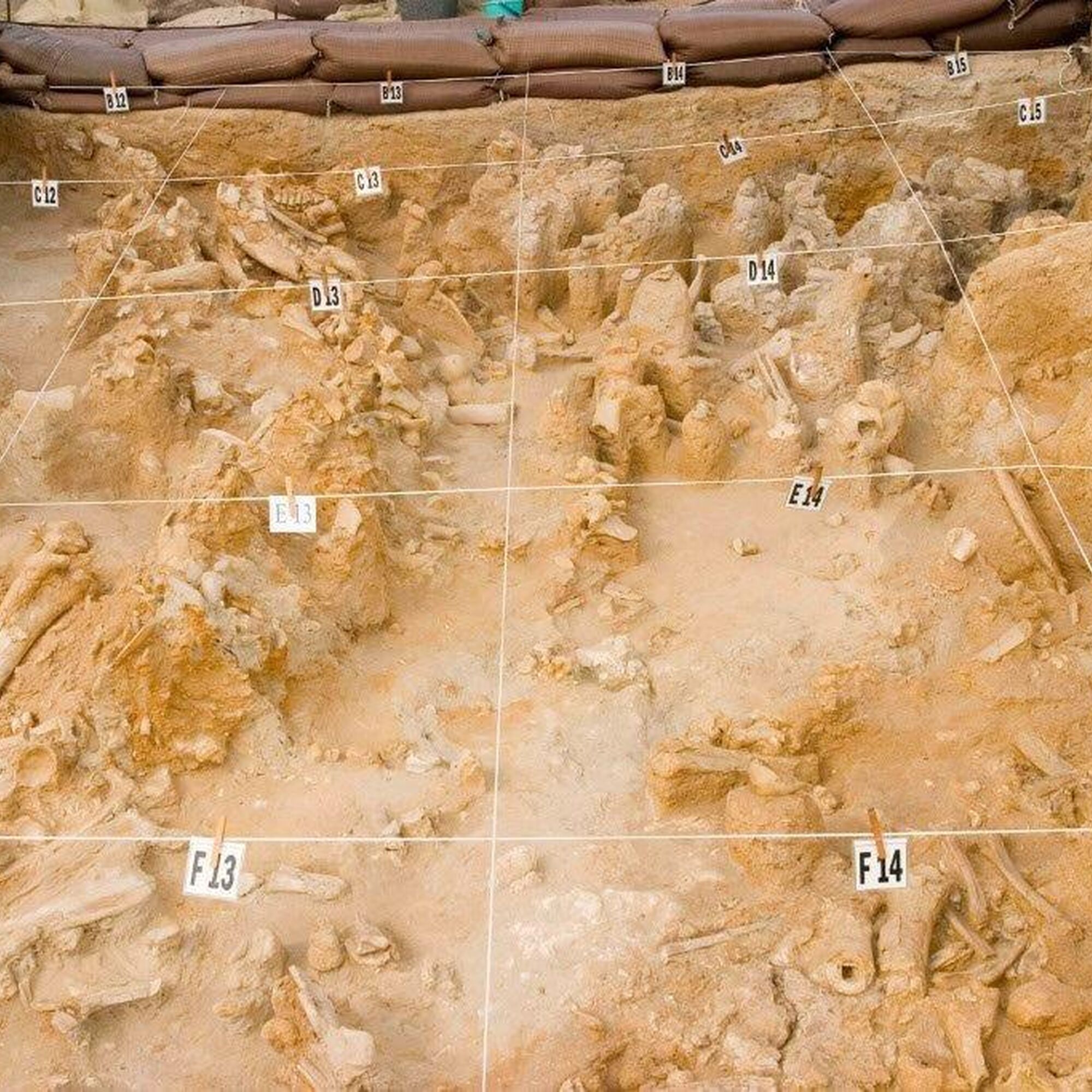 1456480496870 41l W Mlz Fse