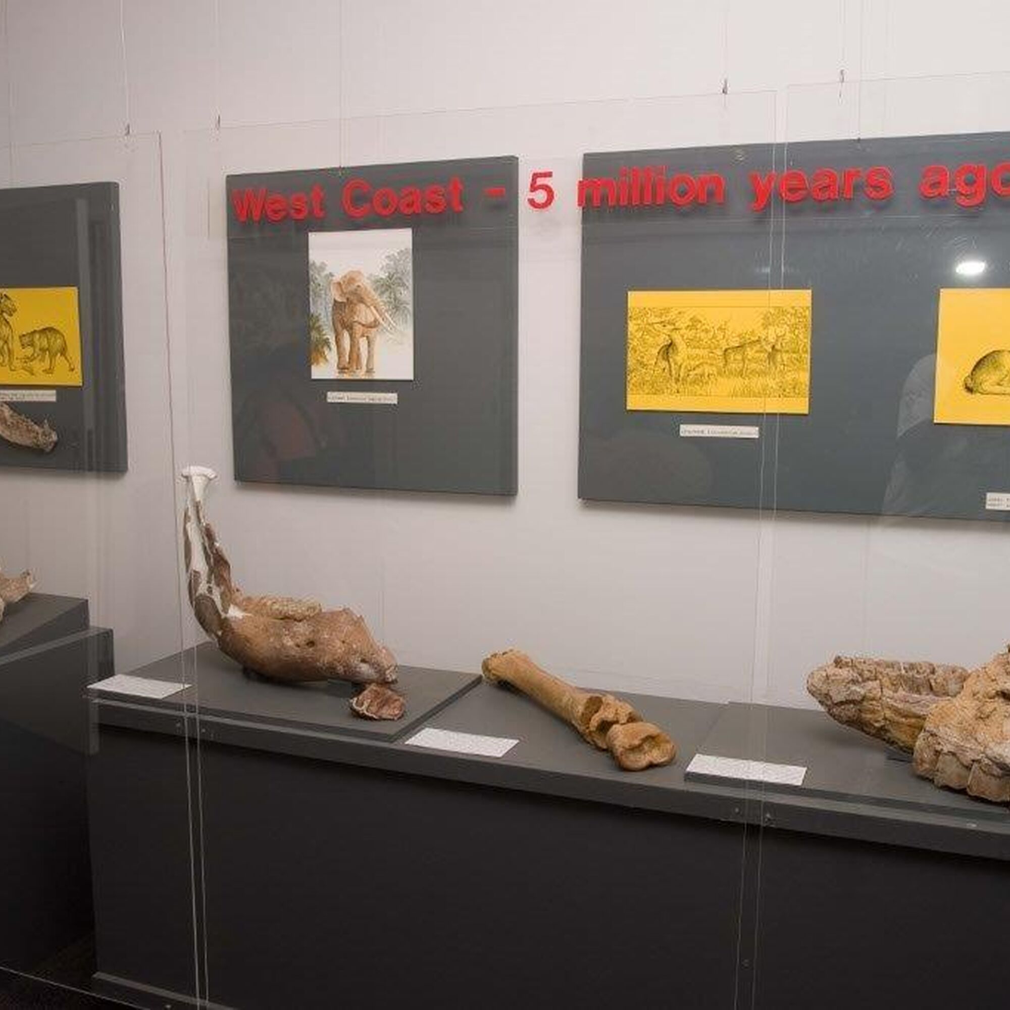 1456480509817 Eyx0 Gef Kil