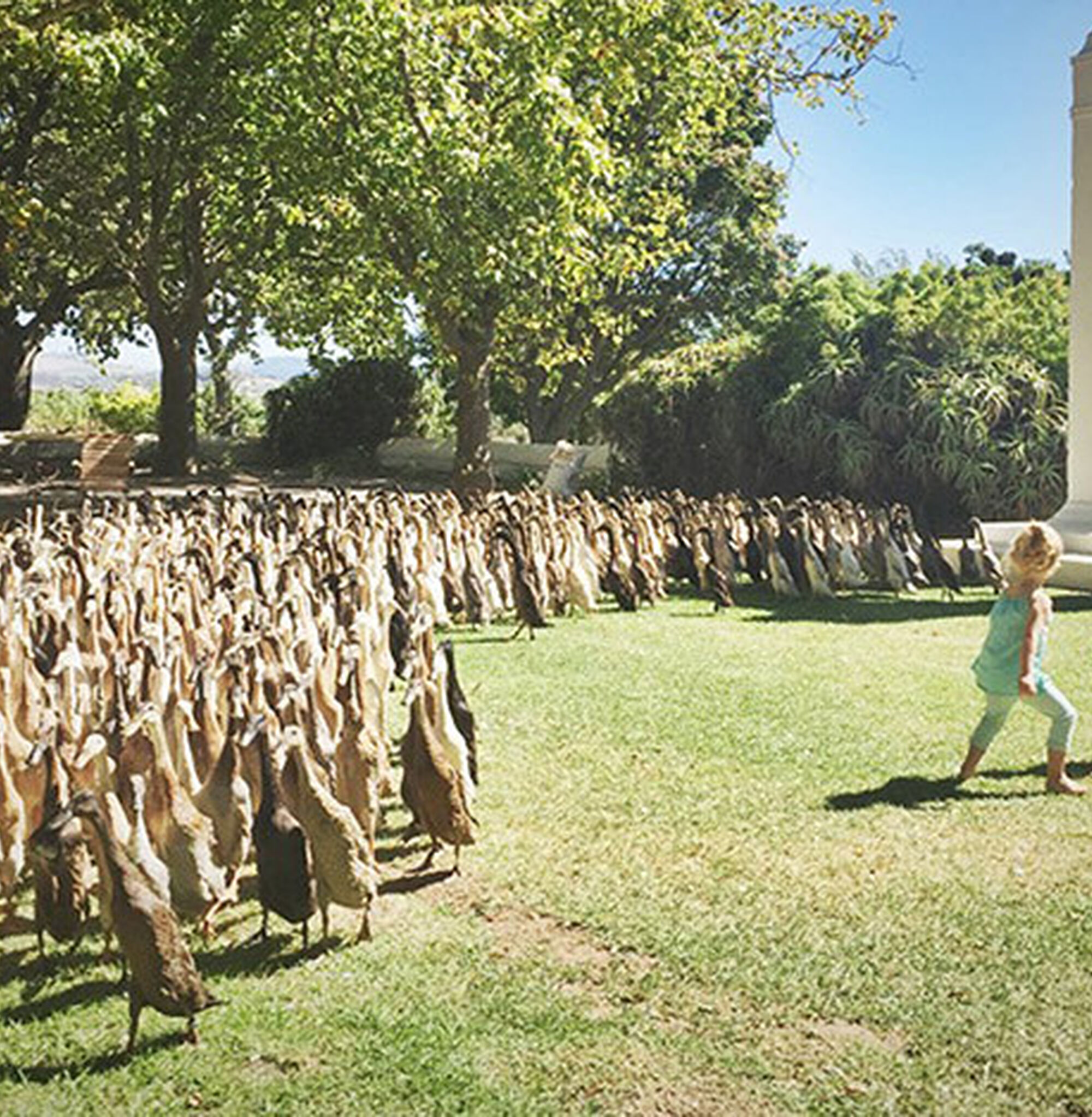 1465291436938 Vy M6a Wt14 W