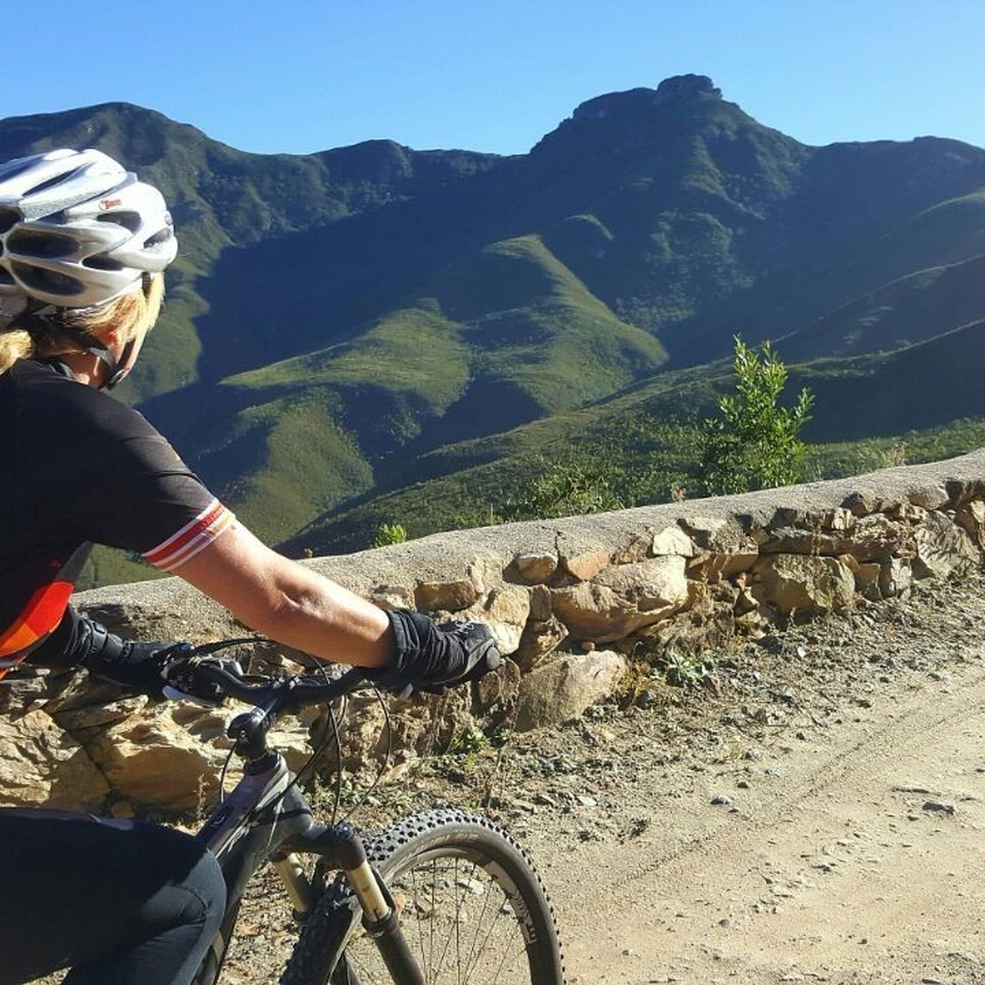 1495437983886 E Jzep Fsem 1495437983886 E Jzep Fsem