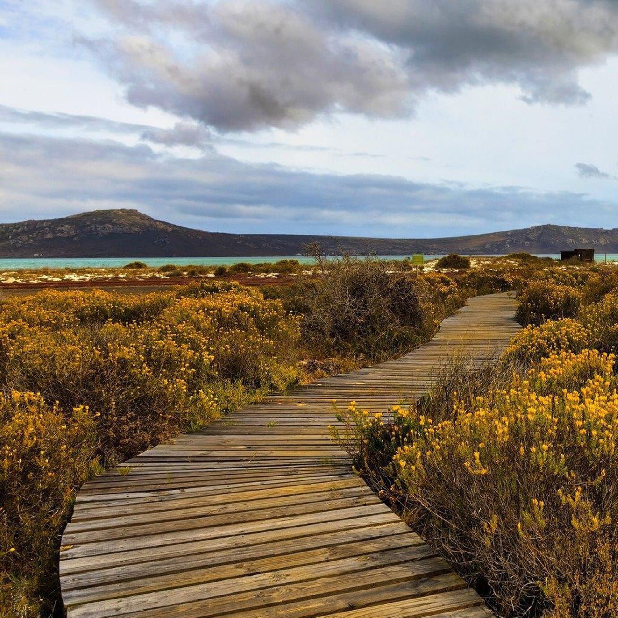 1502974158090 VJ7 Rkl K0v X