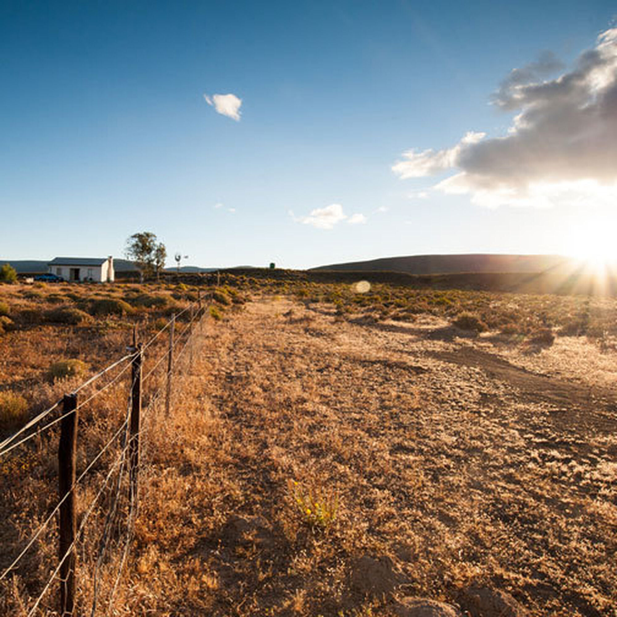 1502974193766 N1gz Gxt R Pm