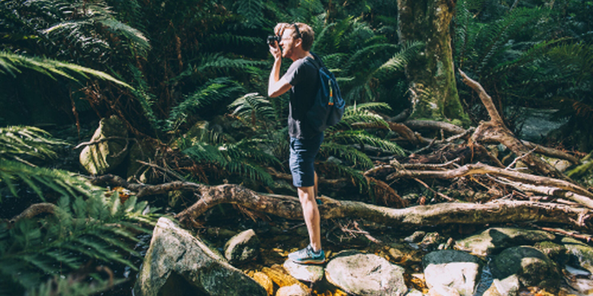 1507102120755 Nkb Ya2u6i Q