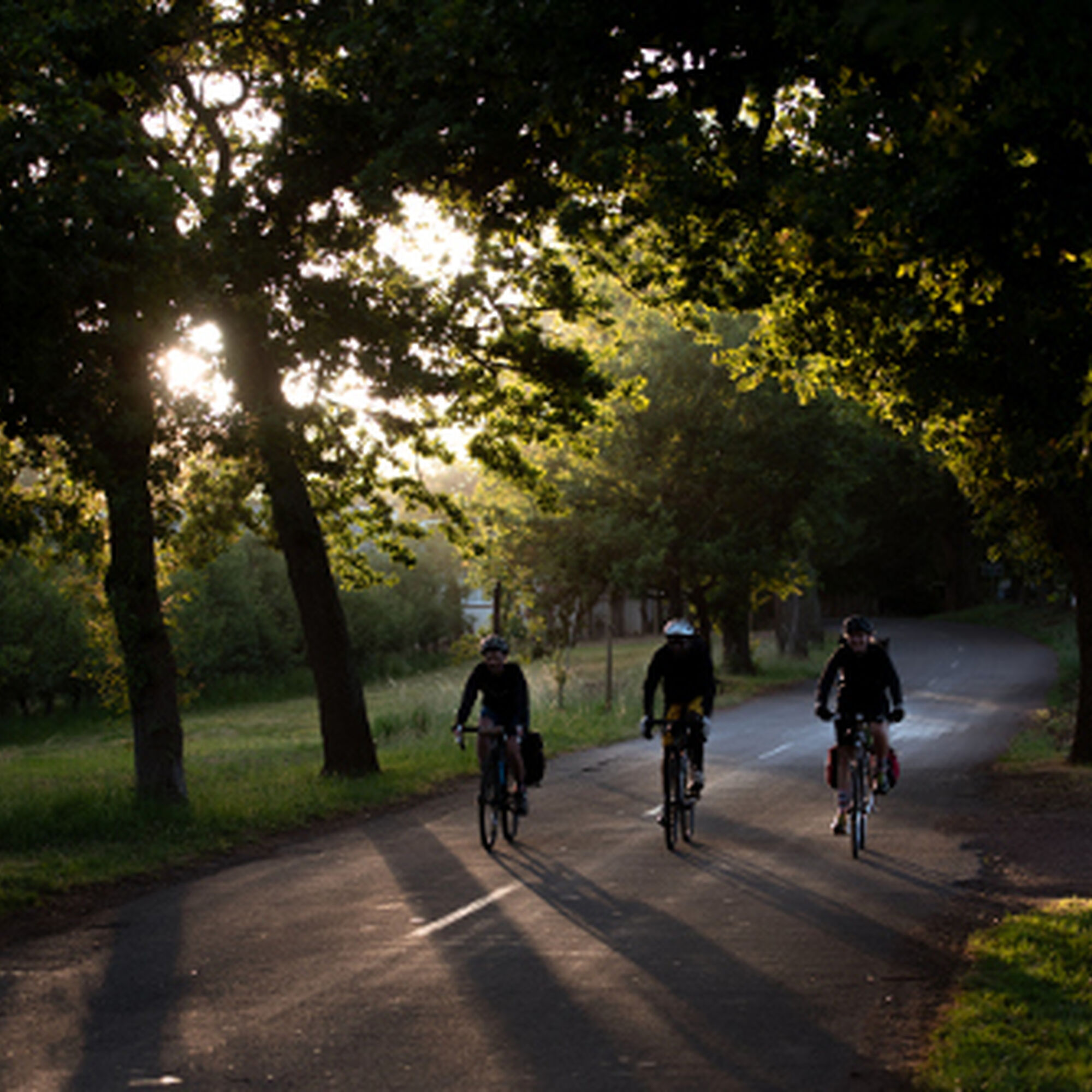 1544187850814 V Jlo Jyv7k L