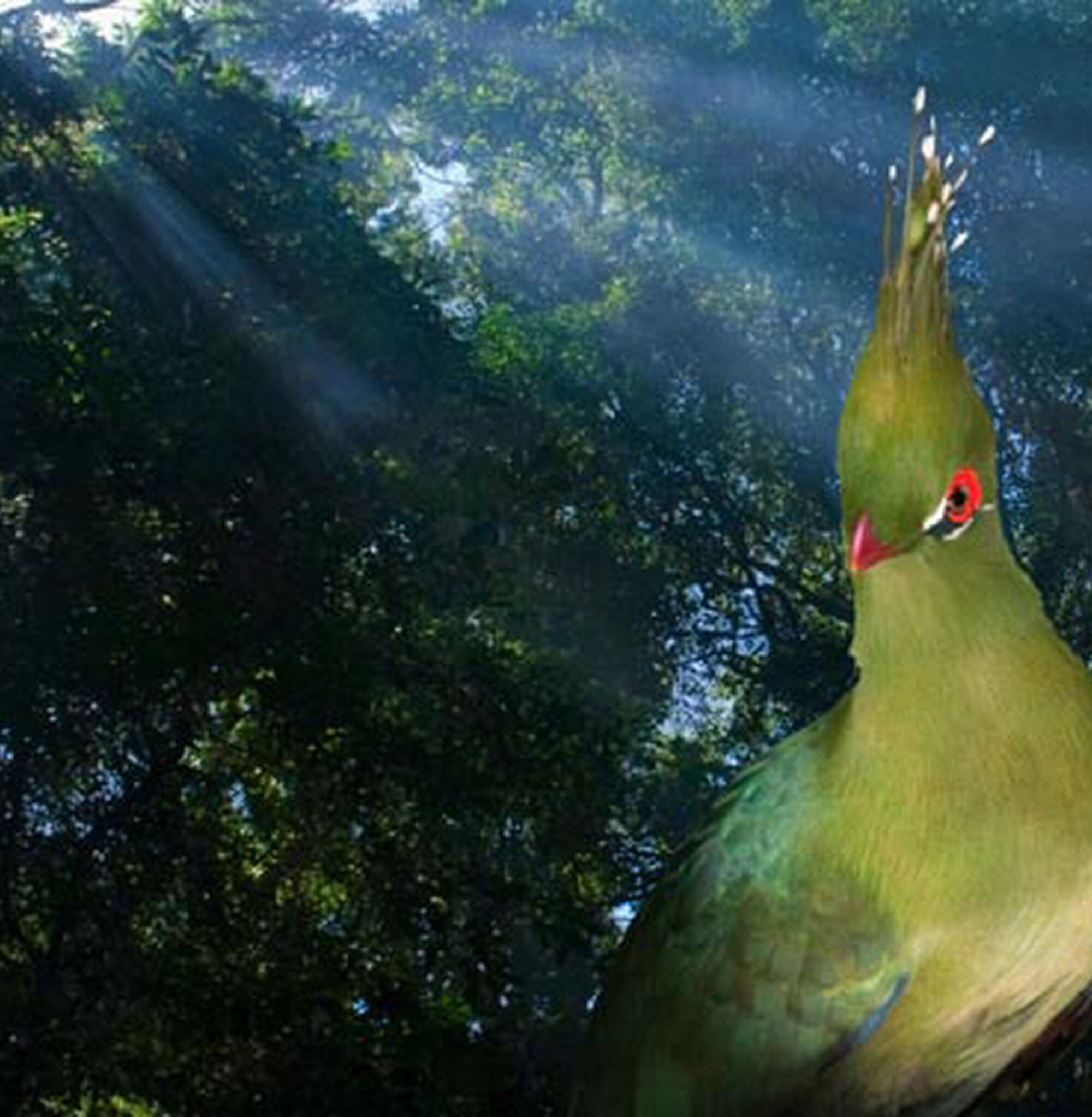 447c9eefd6c7351e1cbf2d52ca575aaf