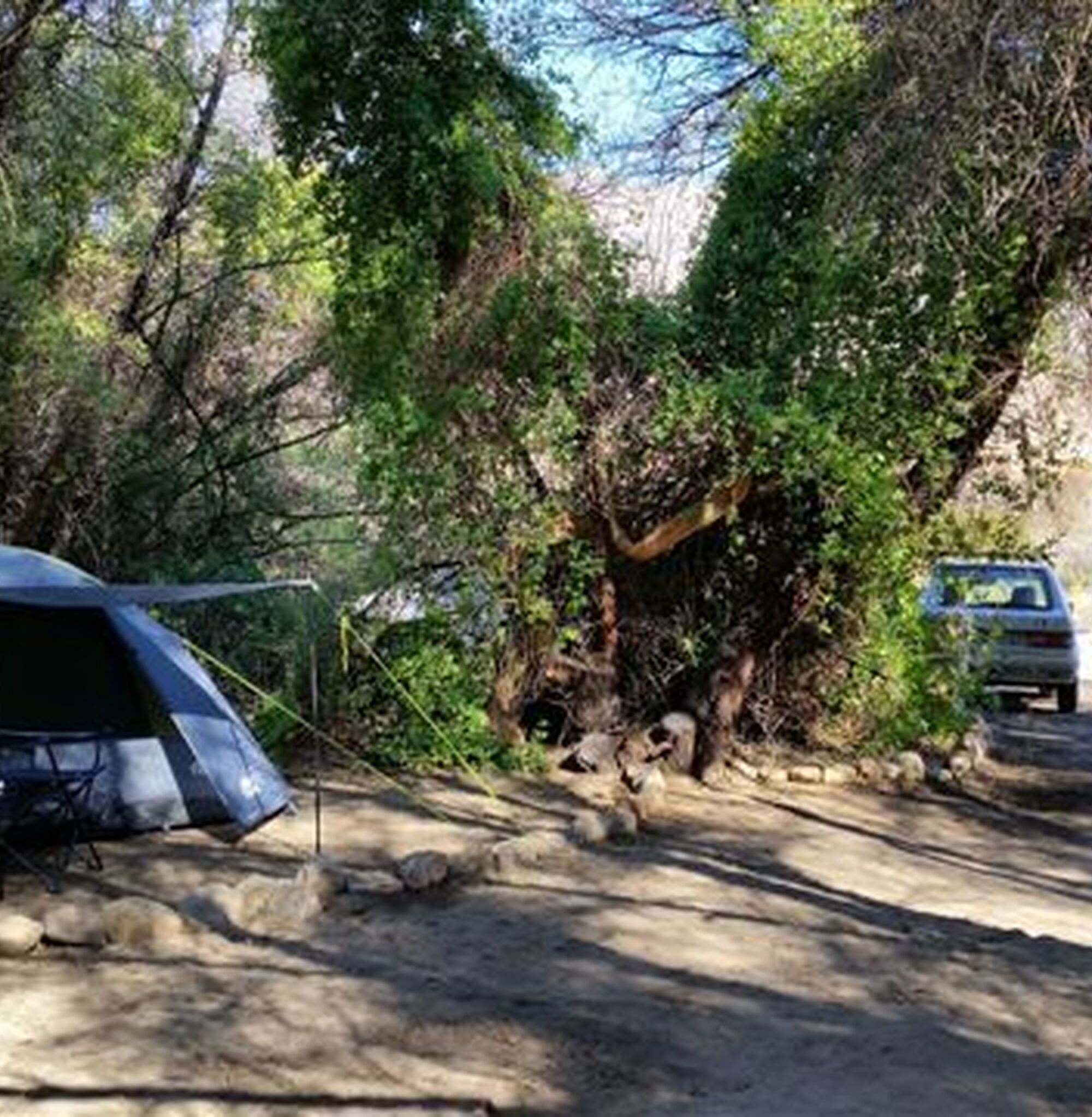 96ea71cf440d08184439cfc2a2cef1f0