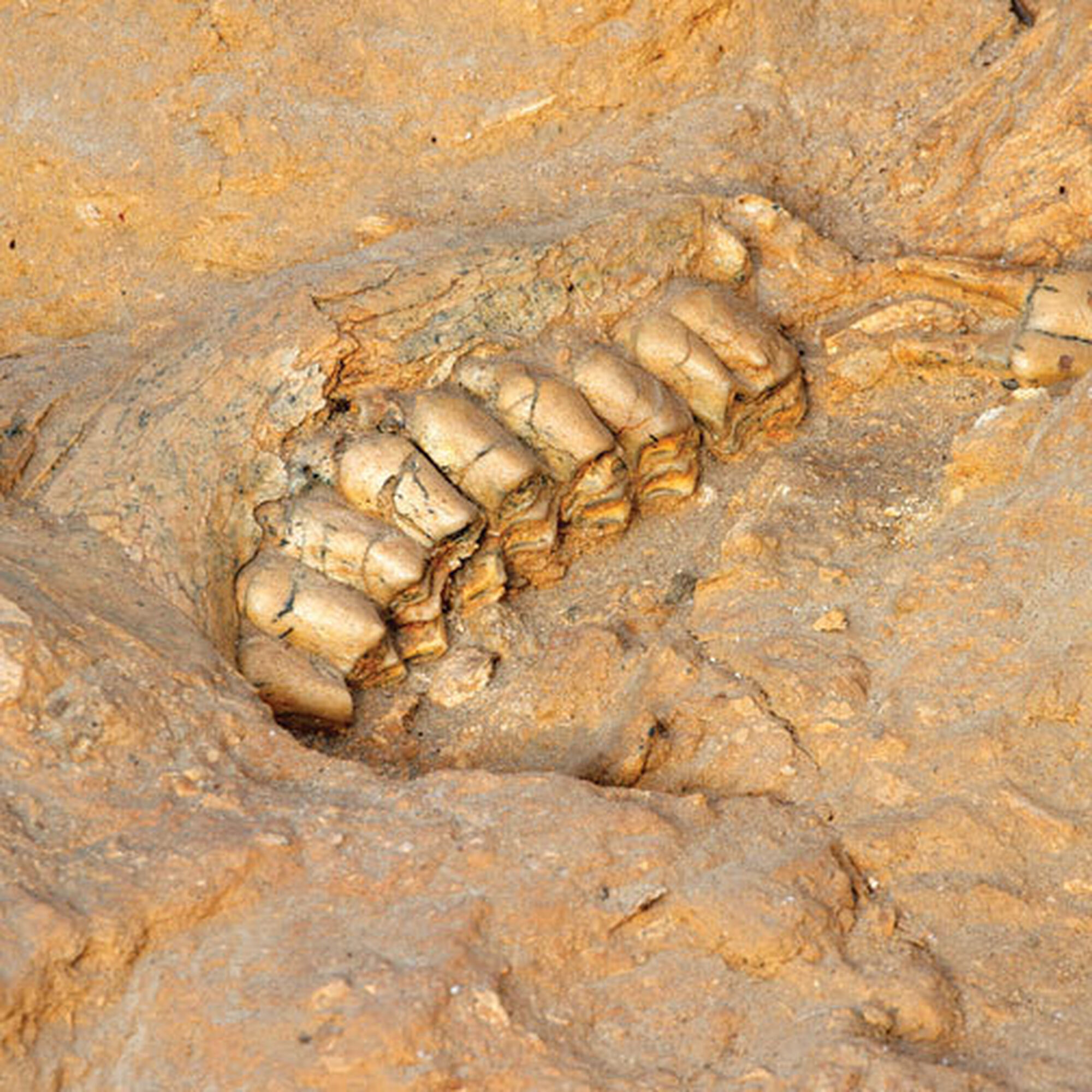 1489482943706 N1xxk4jes M