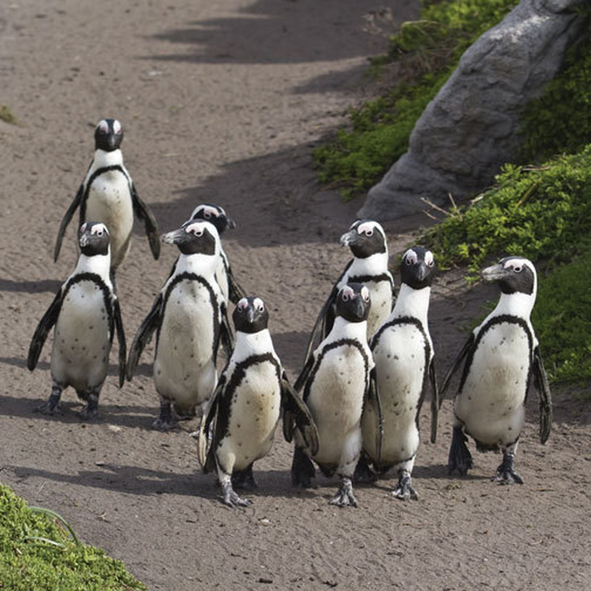 1489482955980 4y G3y Nsgif