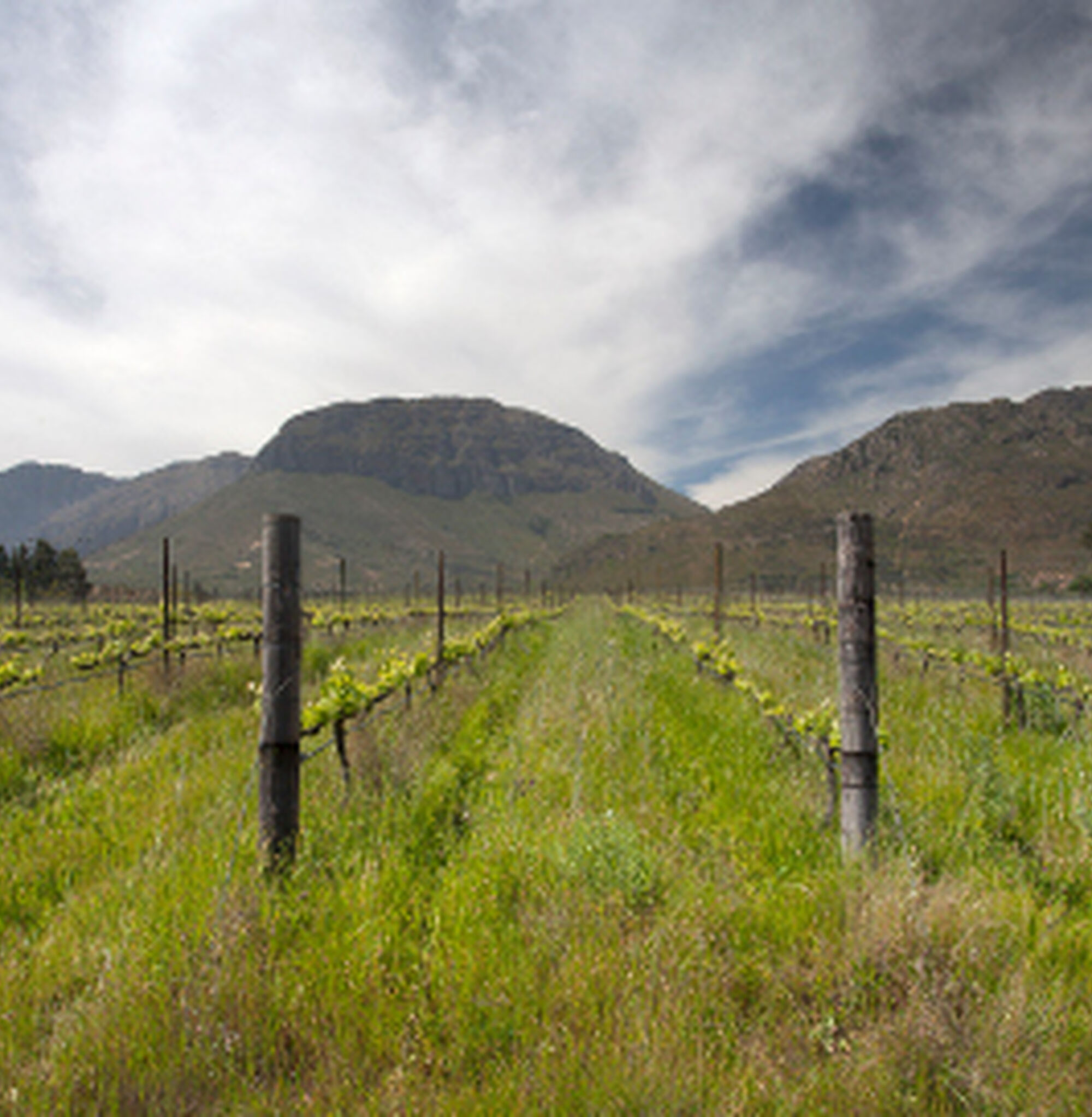 1502864455698 E1 Wuw7 R3w X