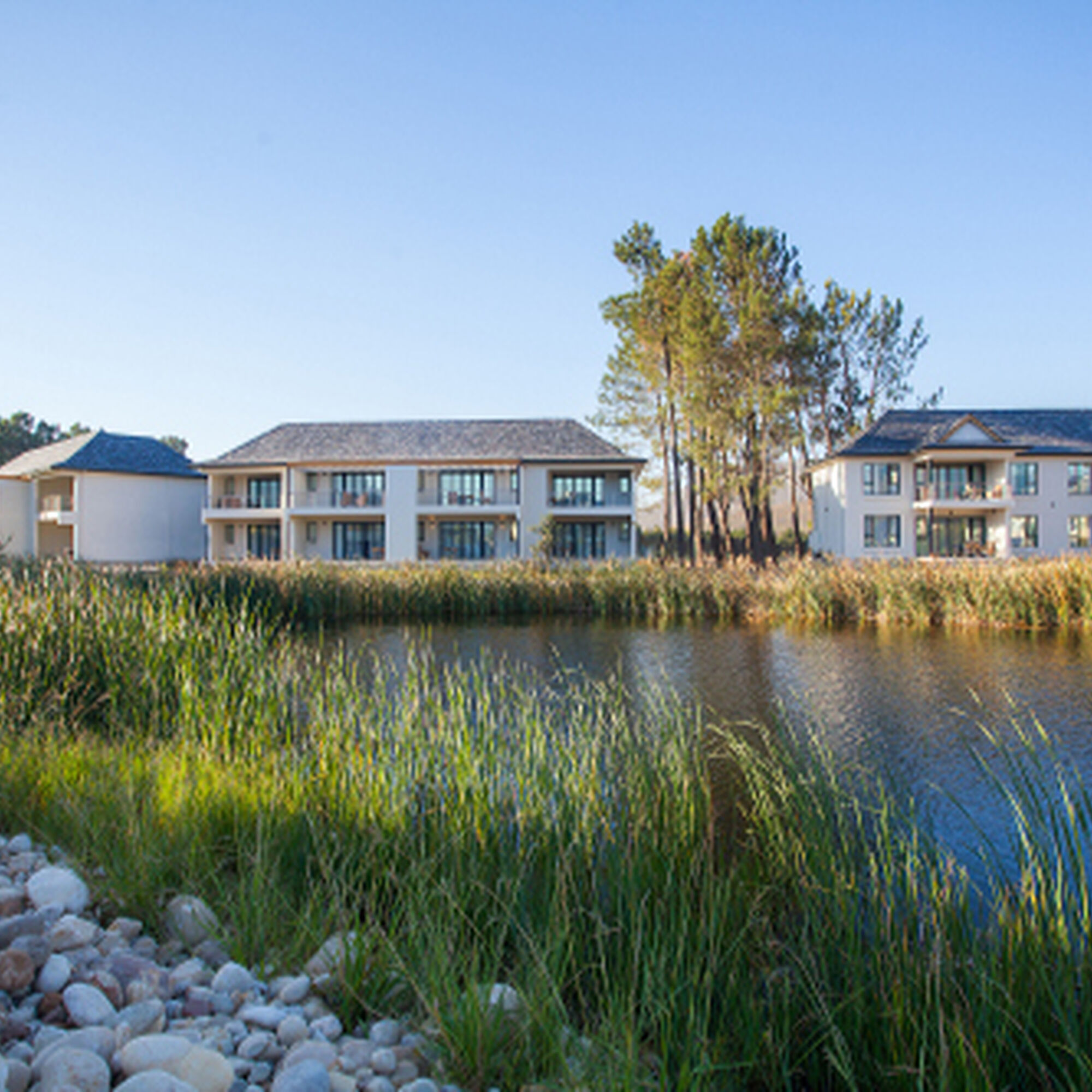 1502864474677 E1xi Q Rnv7