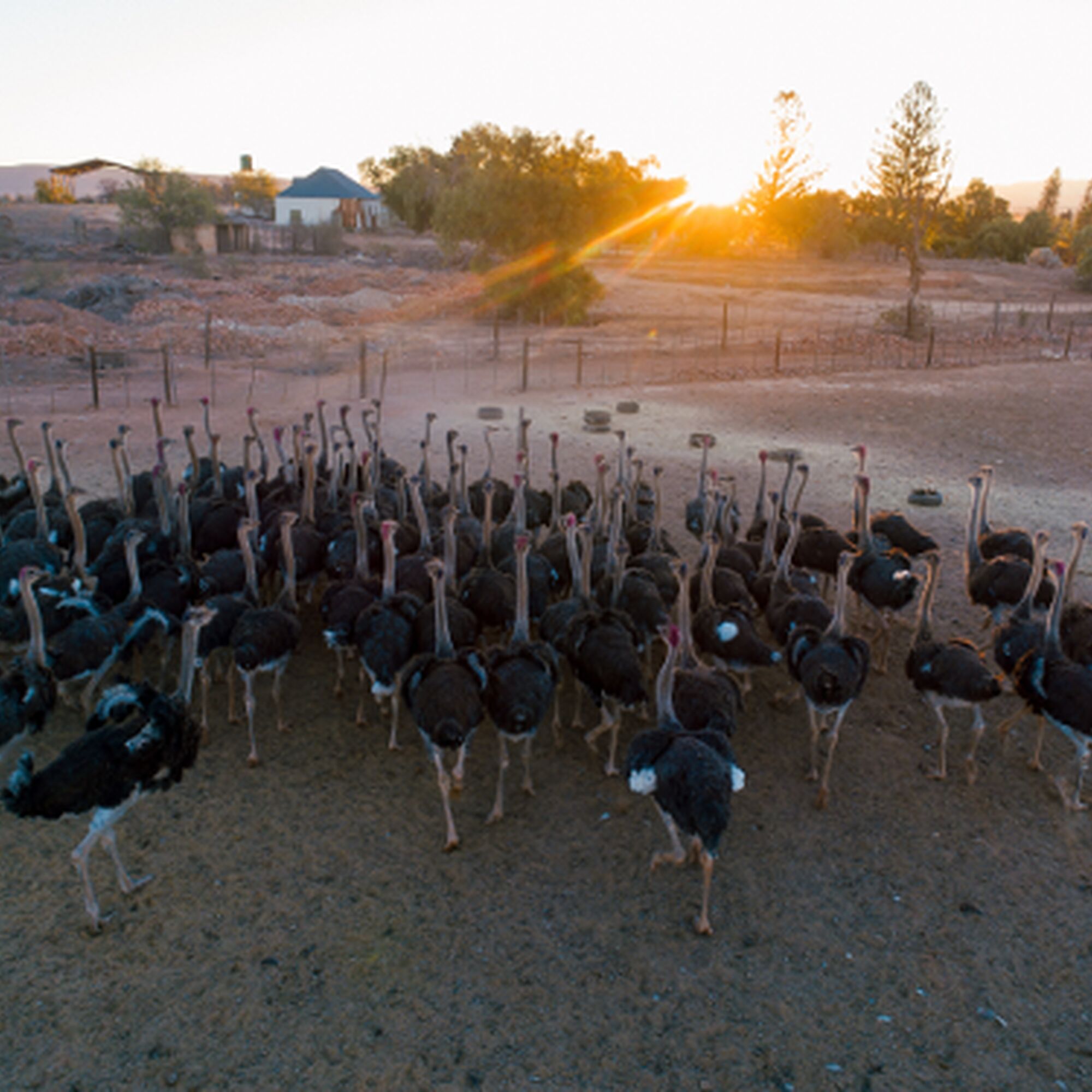 1544448047198 Nkee ID Lv1 L