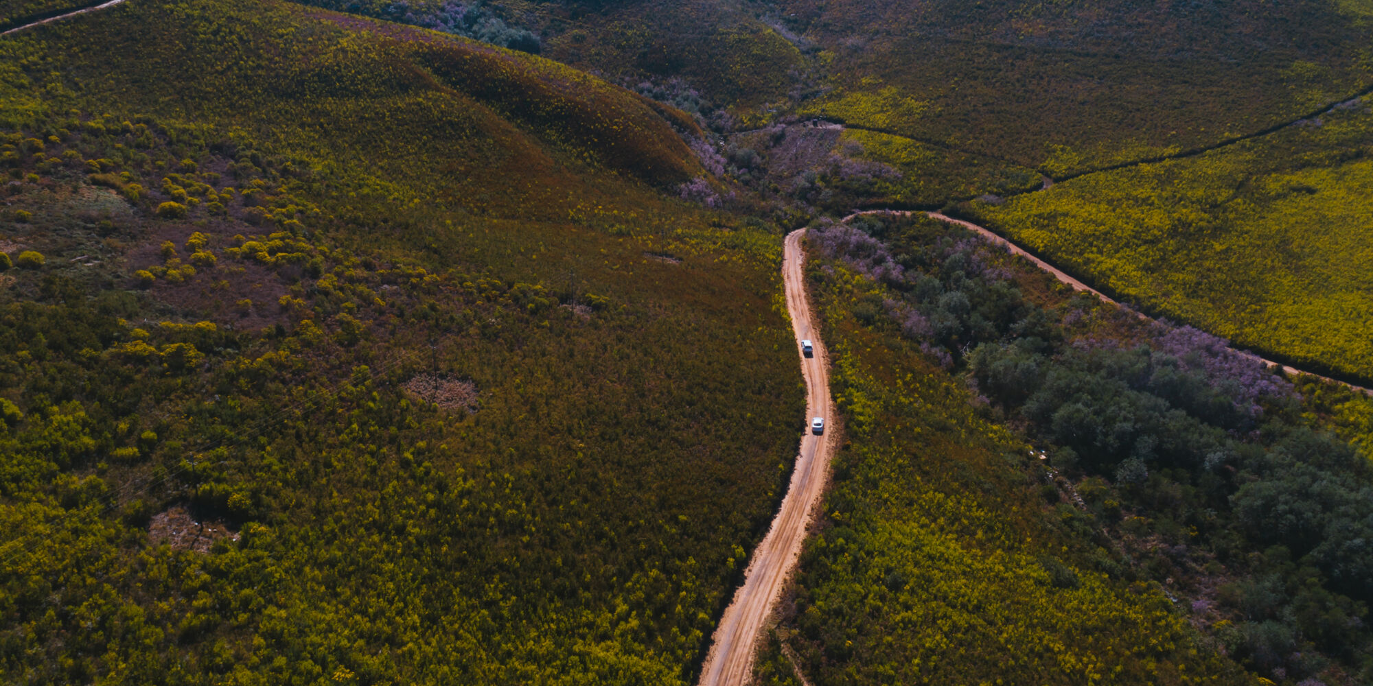Marloth Nature Reserve 3 credit Shawn Ugulu