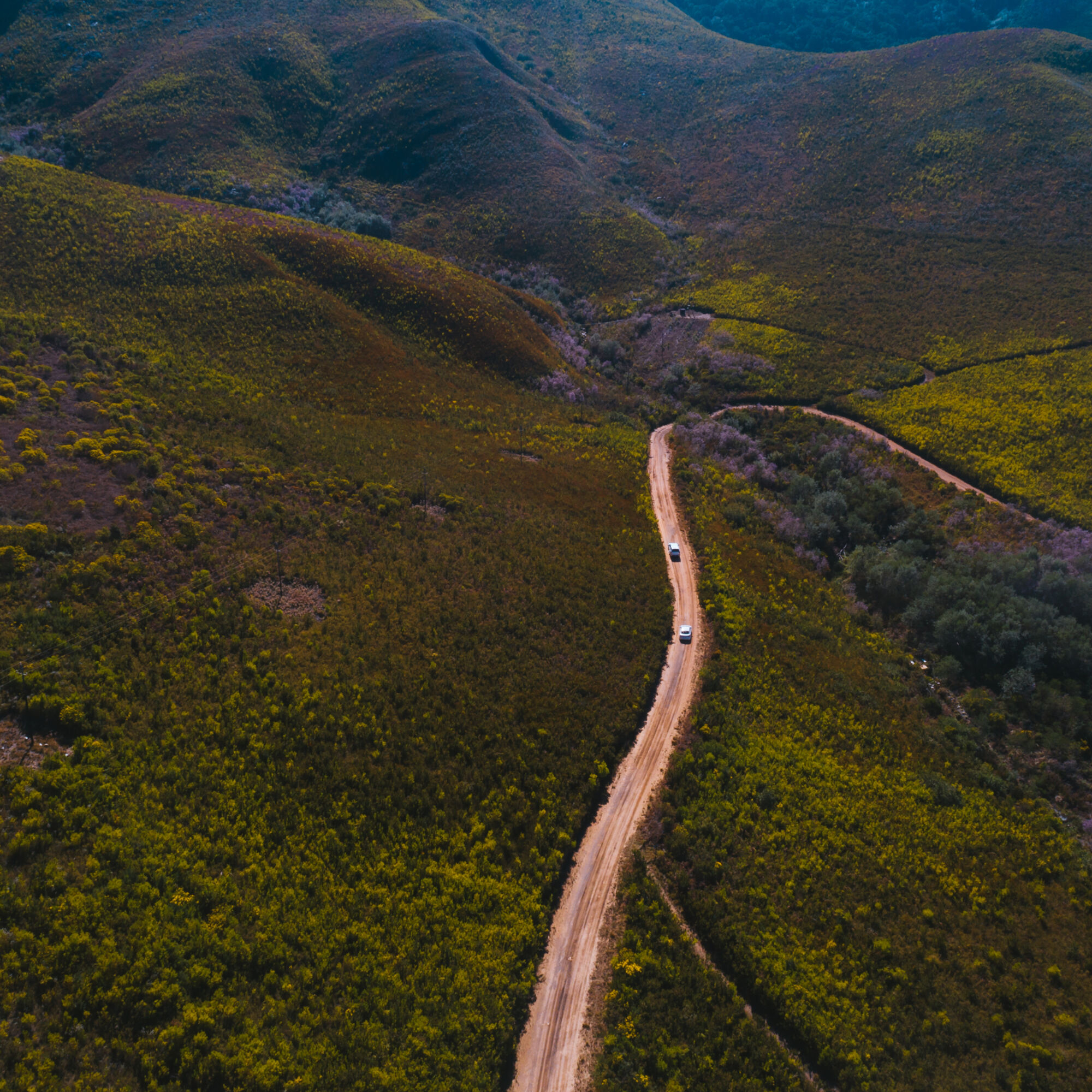 Marloth Nature Reserve 3 credit Shawn Ugulu
