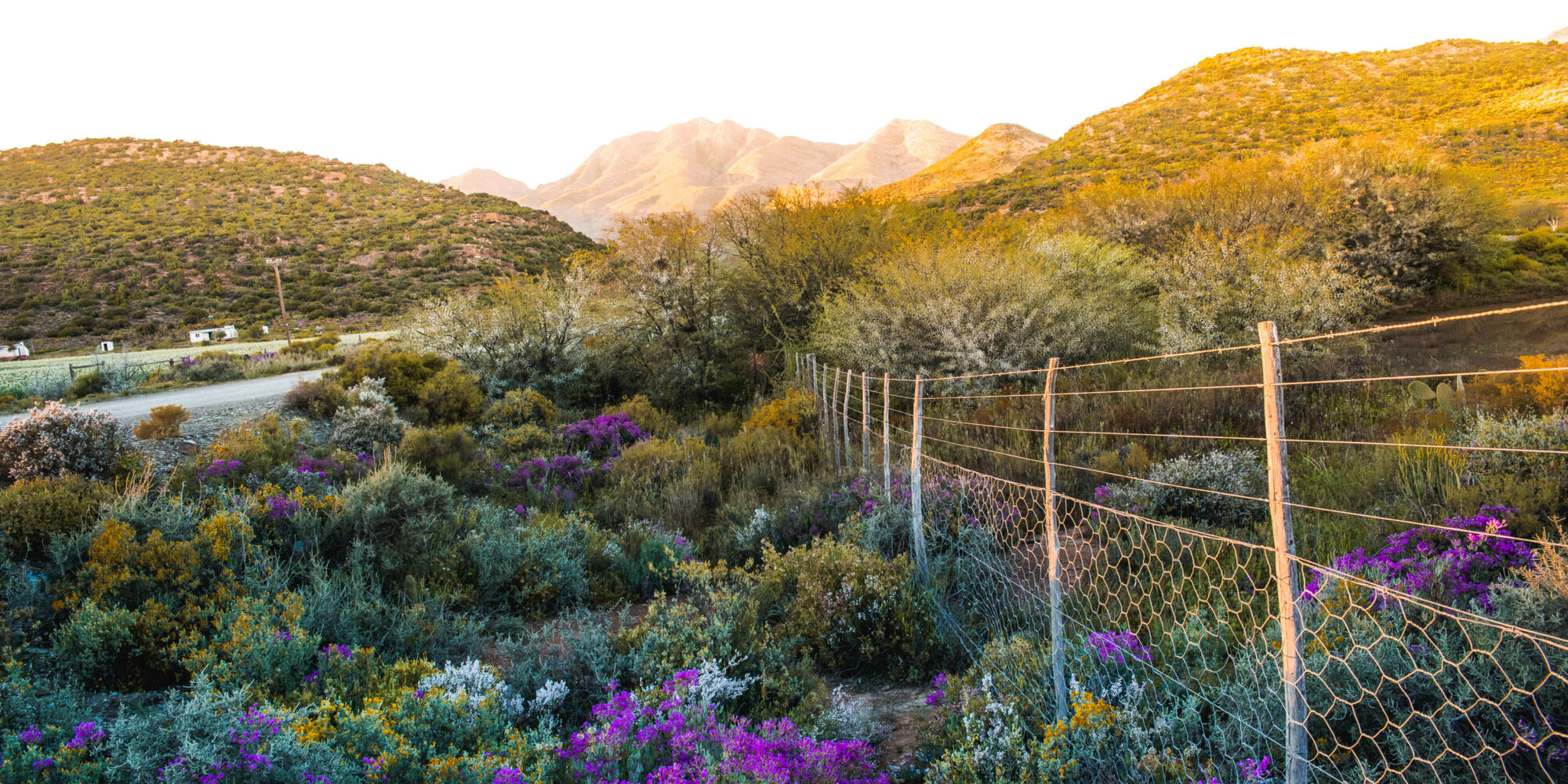 Mountain scenery Cape Town Tourism 1 Mountain scenery Cape Town Tourism 1
