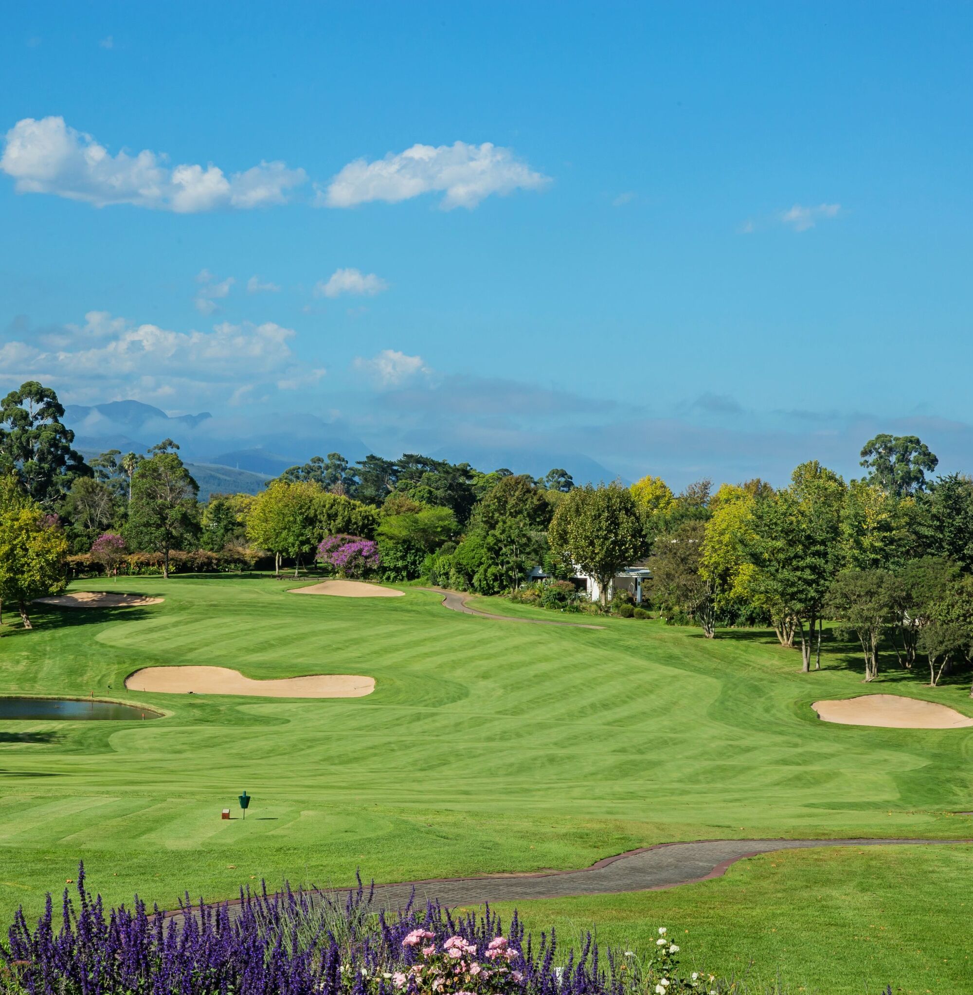 Outeniqua e1568638211761 Outeniqua e1568638211761