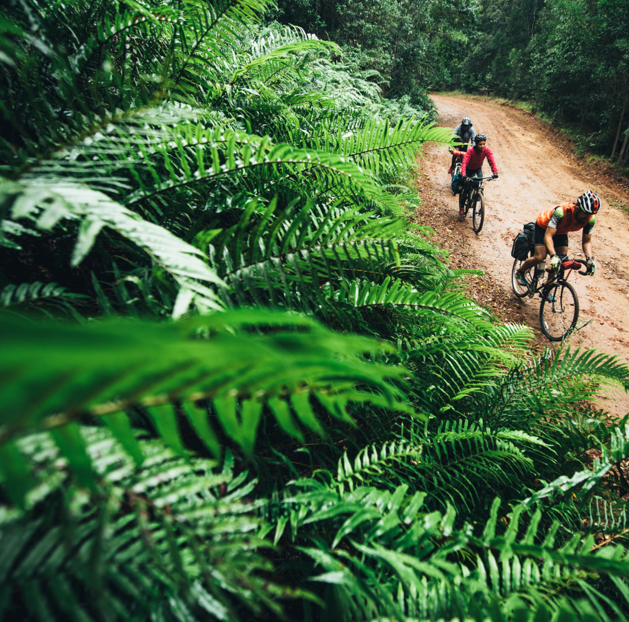 Cross Cape Cycle Route