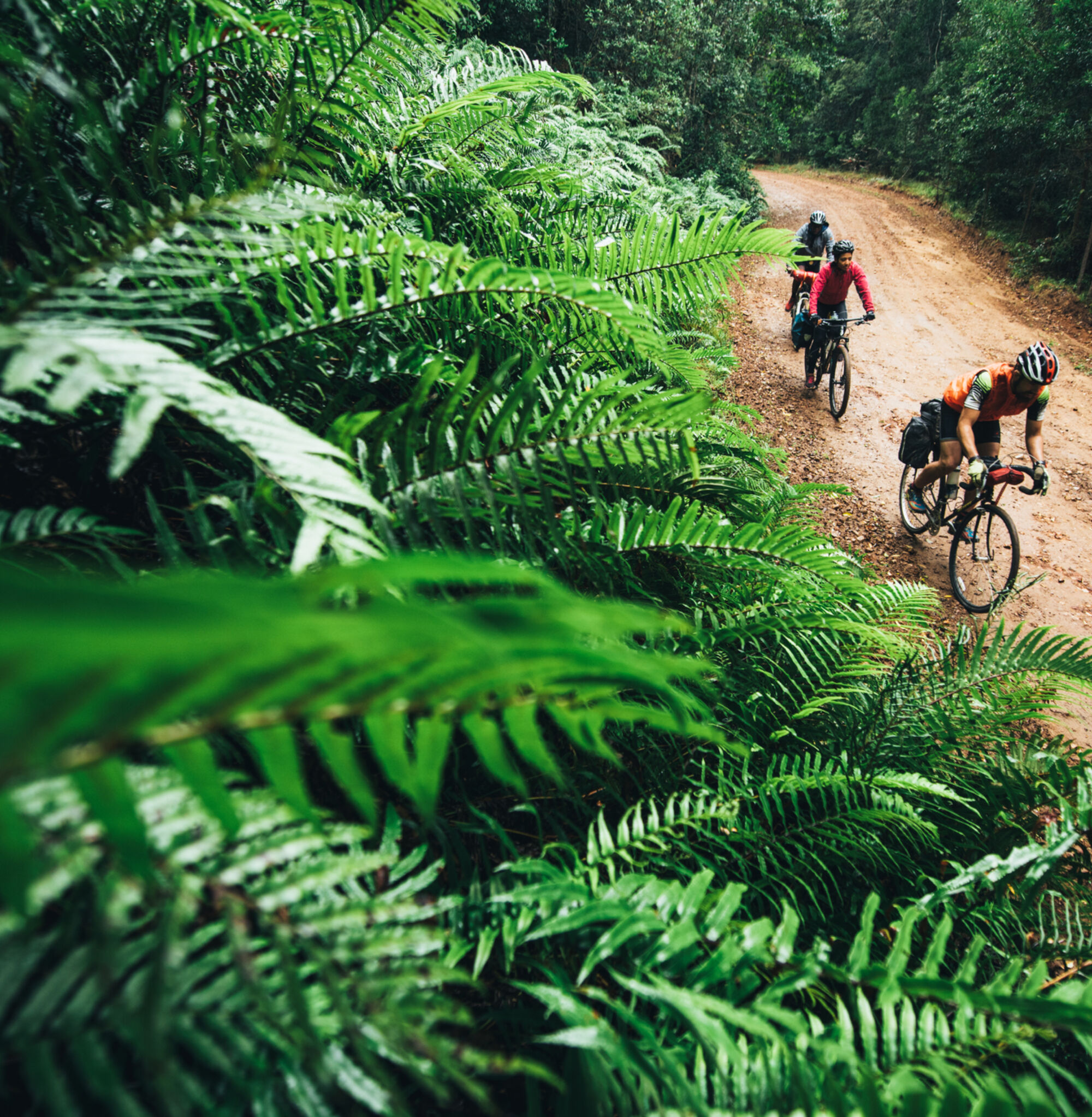 Cross Cape Cycle Route