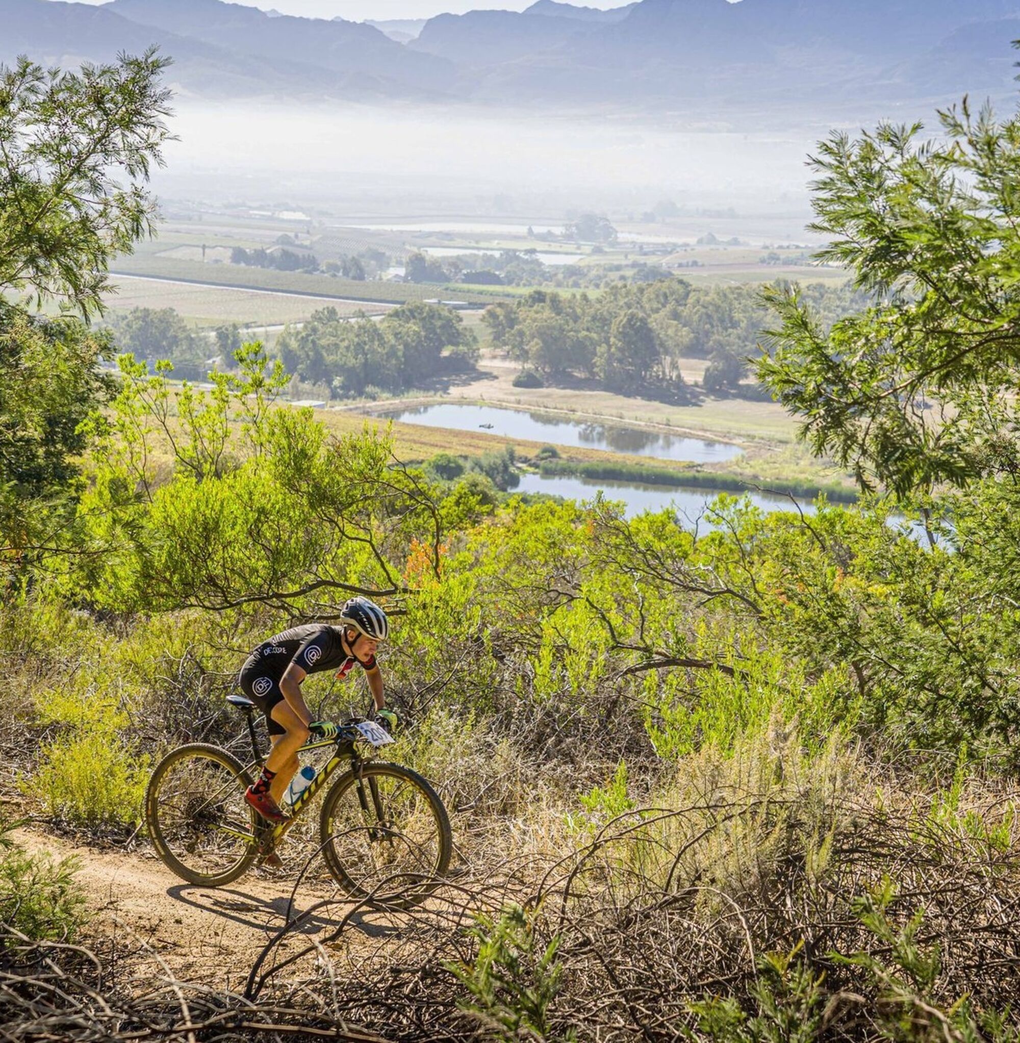 Rhebokskloof Wine Estate