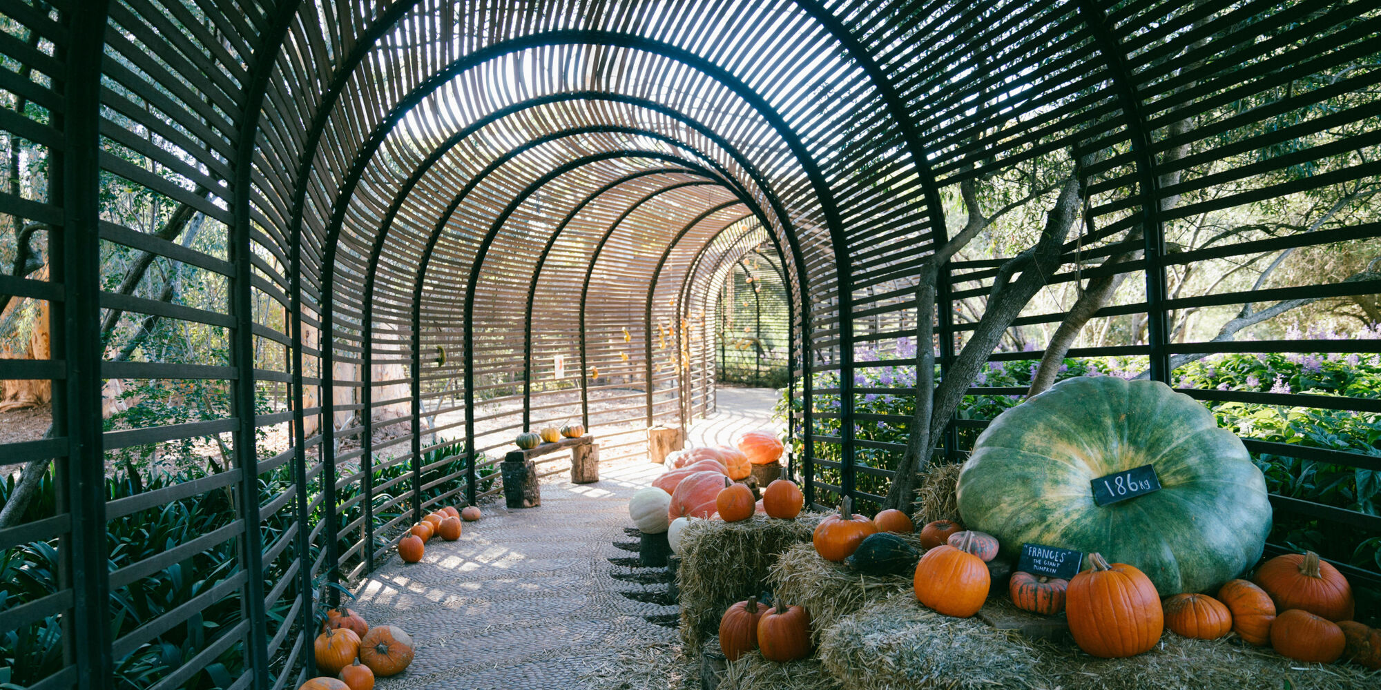 Babylonstoren Klapmuts Cape Winelands