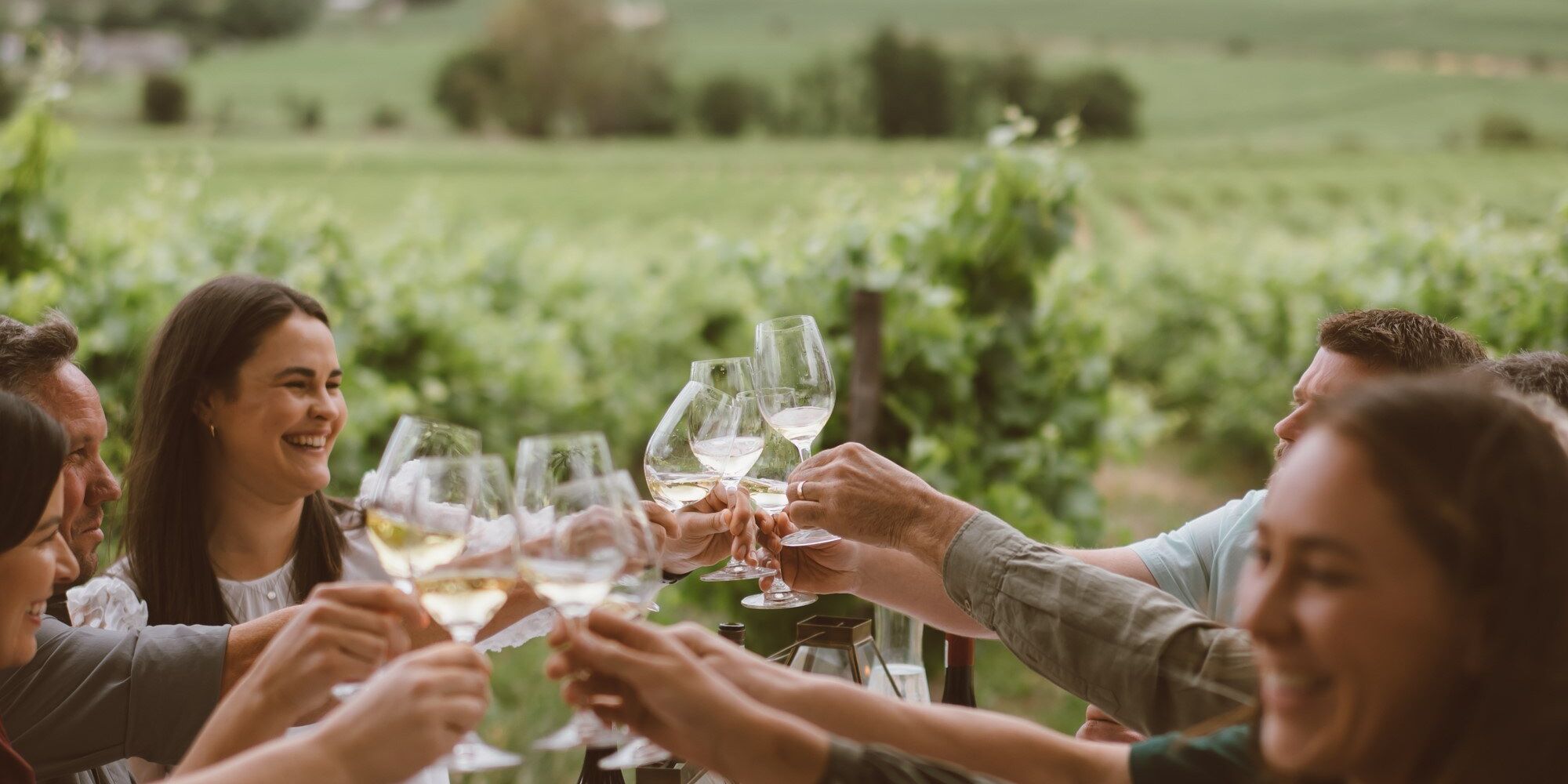 Breedekloof Makers Rawsonville Cape Winelands