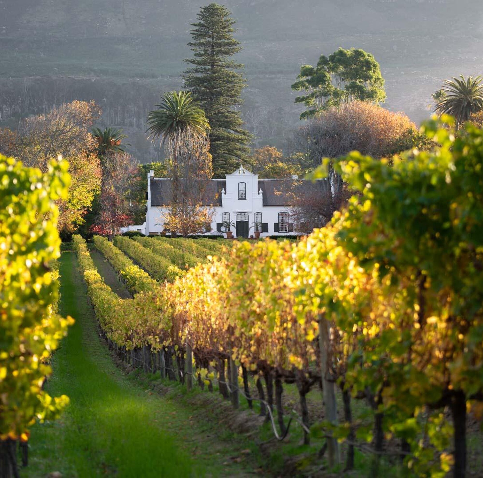 Buitenverwachting Wine farm Constantia Cape Town