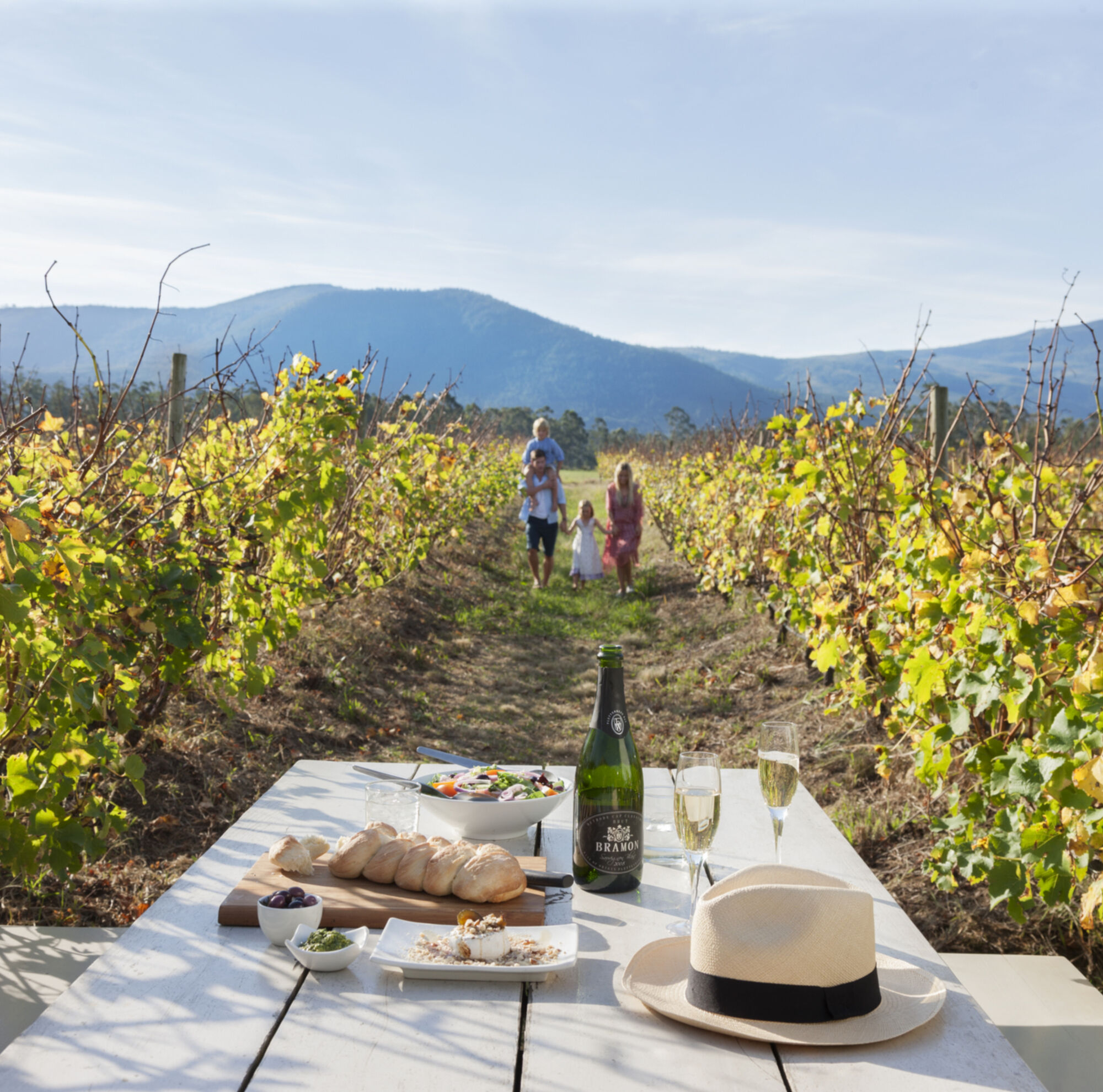 Janet Middleton Plett Tourism Gastronomy Winelands