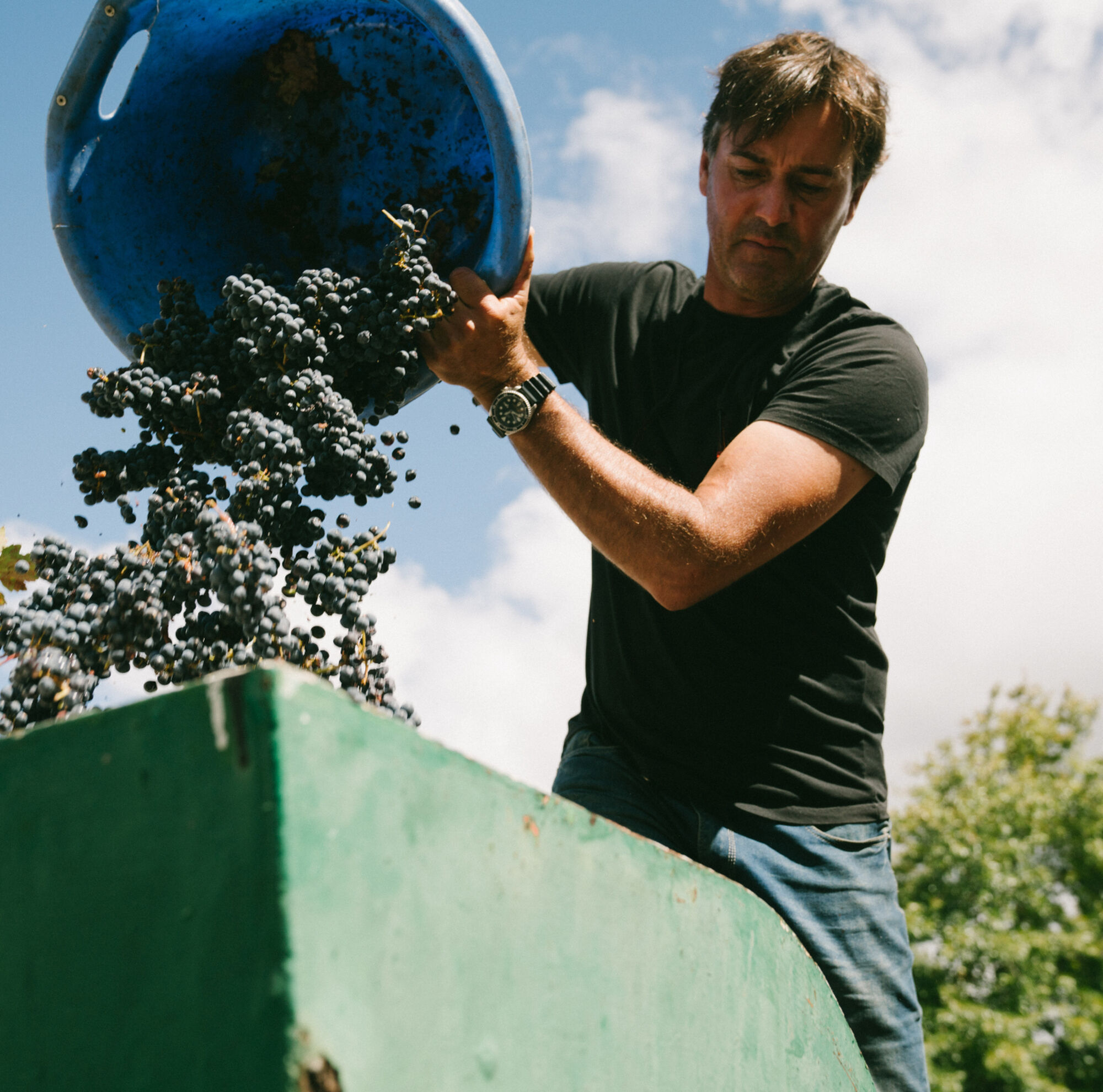 Joubert Tradauw Barrydale Overberg