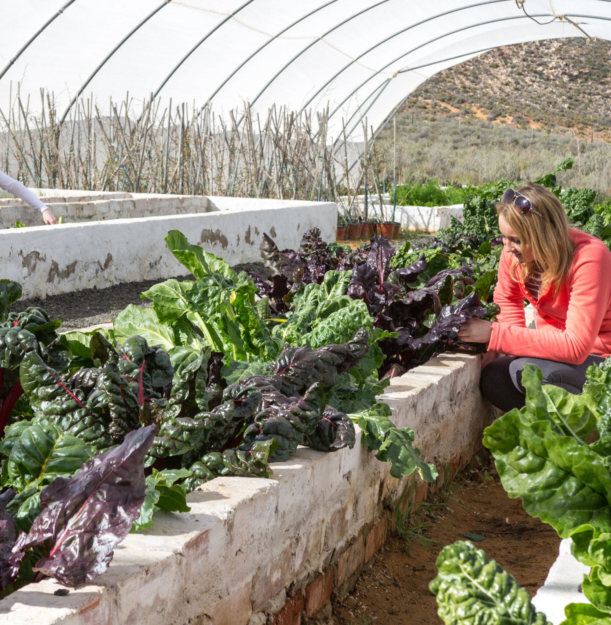Aquila Game Reserve Eco Synergy Touws River Cape Karoo