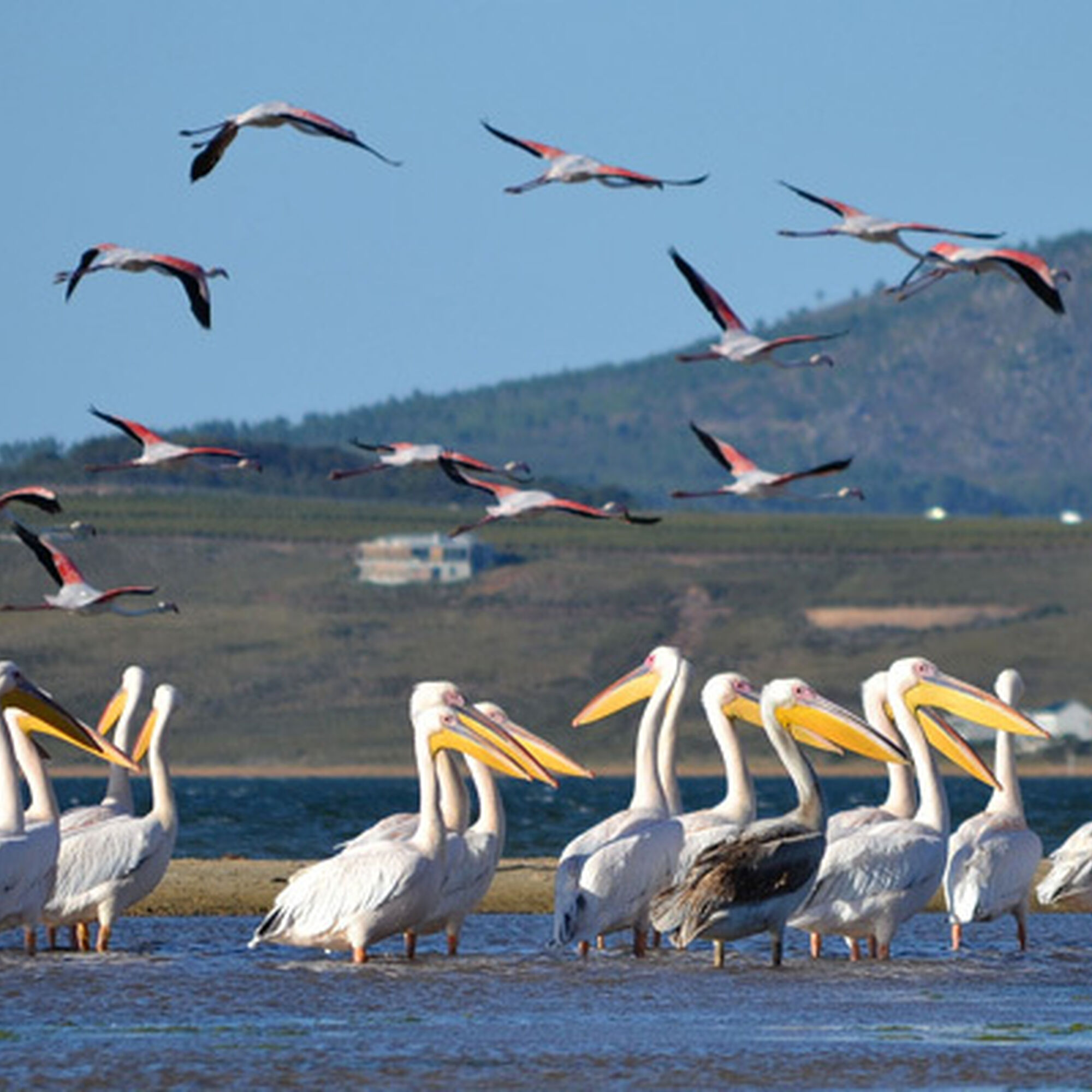 Benguela lagoon and sea home Hermanus Overberg