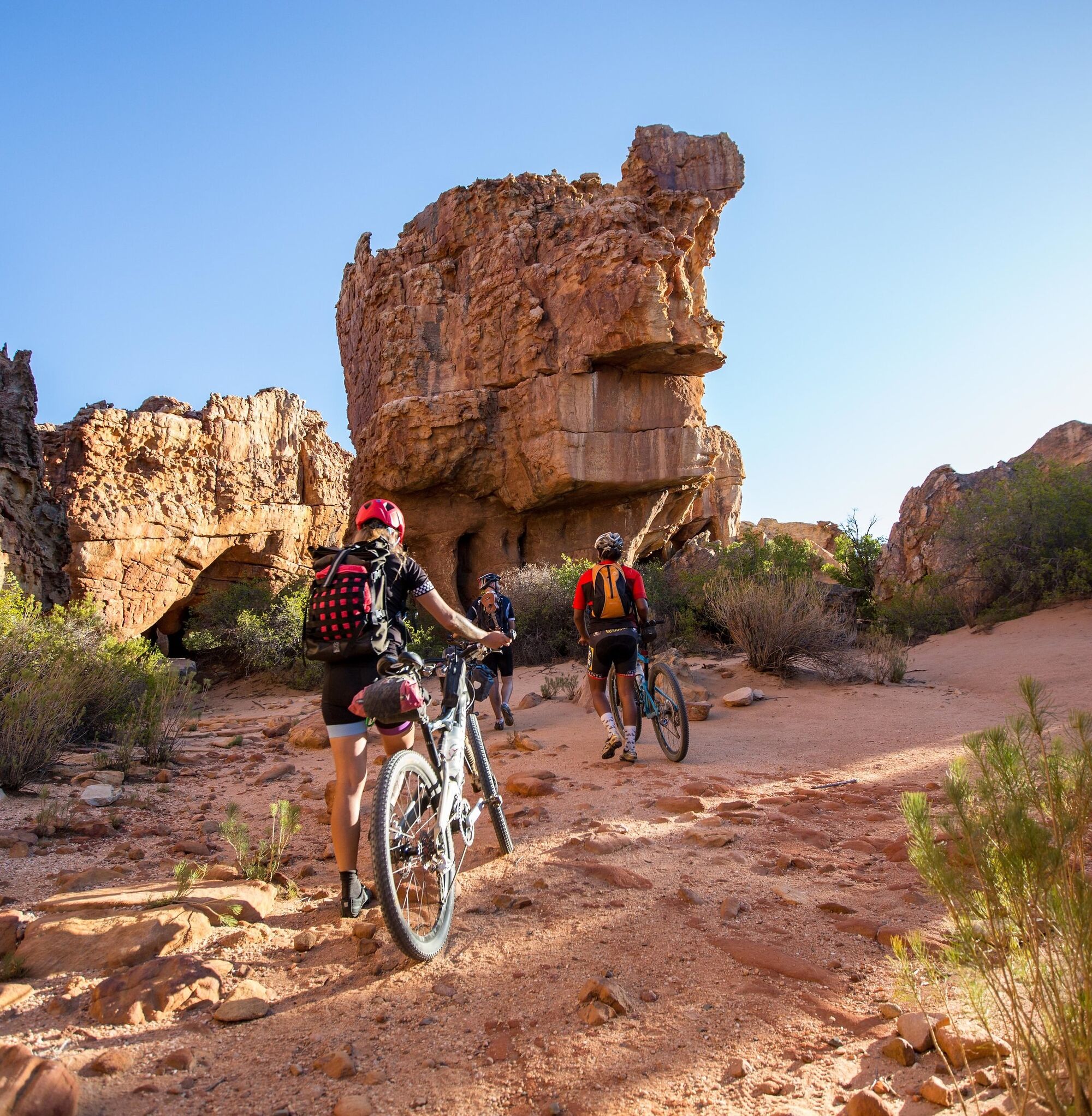 Retroyspective CCR Cederberg 175