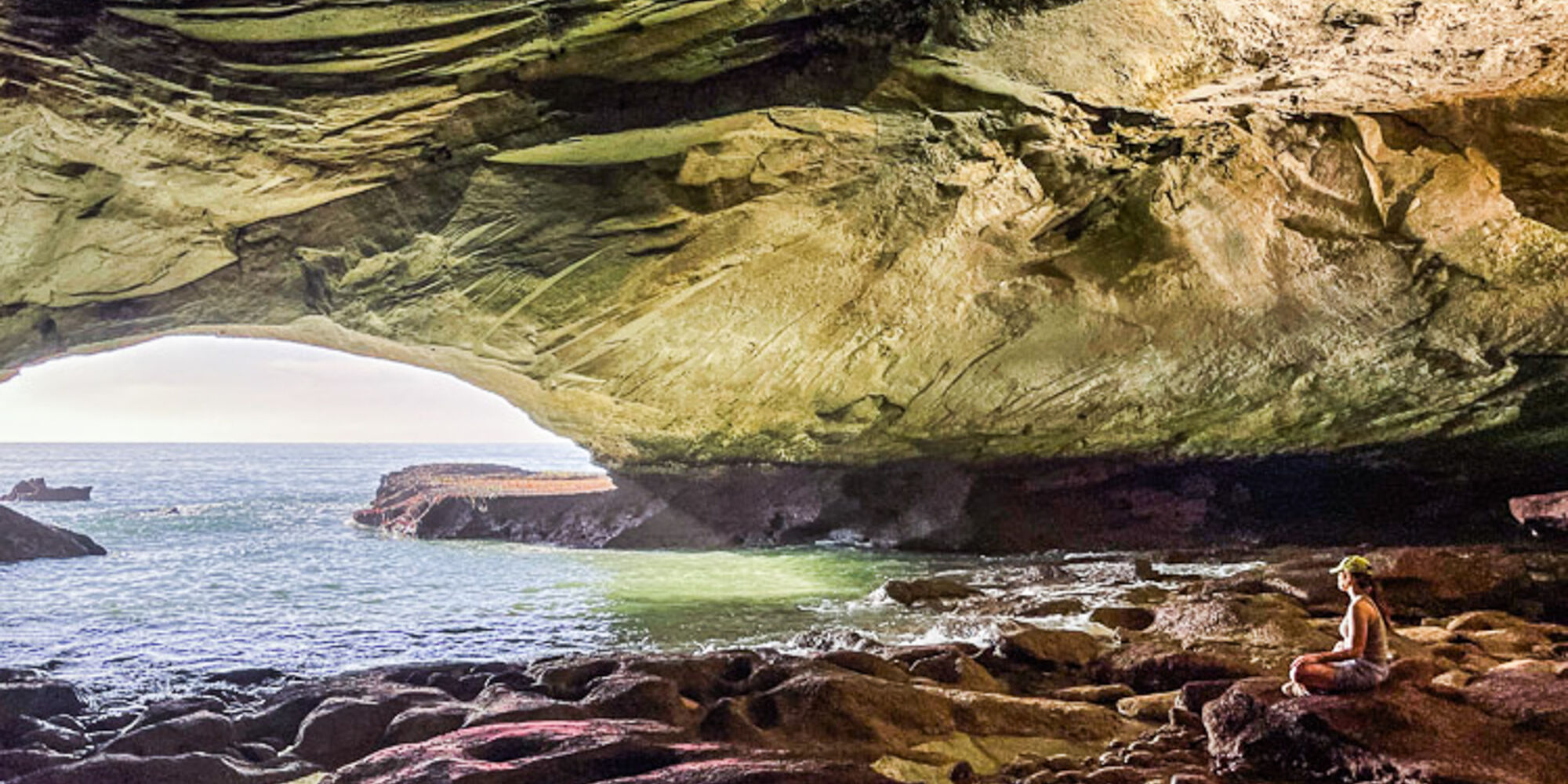 Wild Wellness Walk With Whales 09