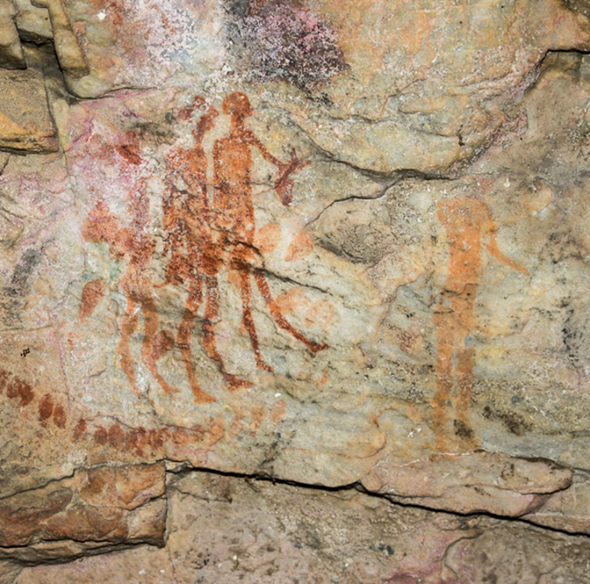 Wild Wellness Walk With Whales 20