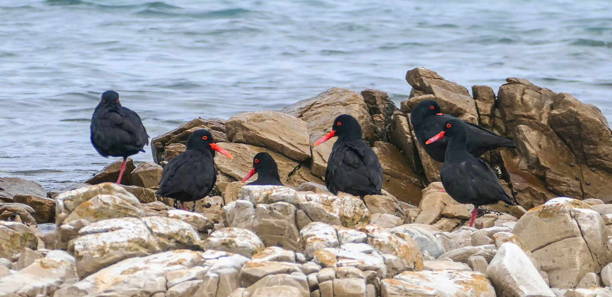 Wild Wellness Walk With Whales 76