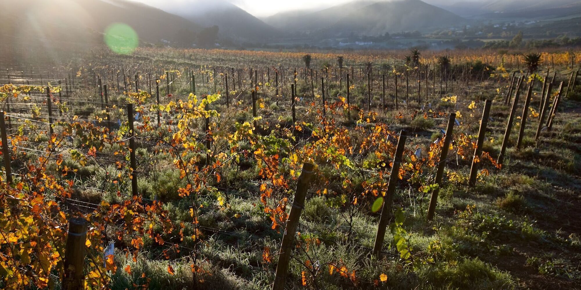 Hp R Uza6 O jpeg Hp R Uza6 O jpeg