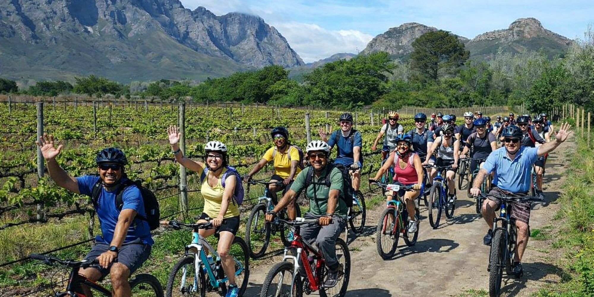 Cyclers in Winelands