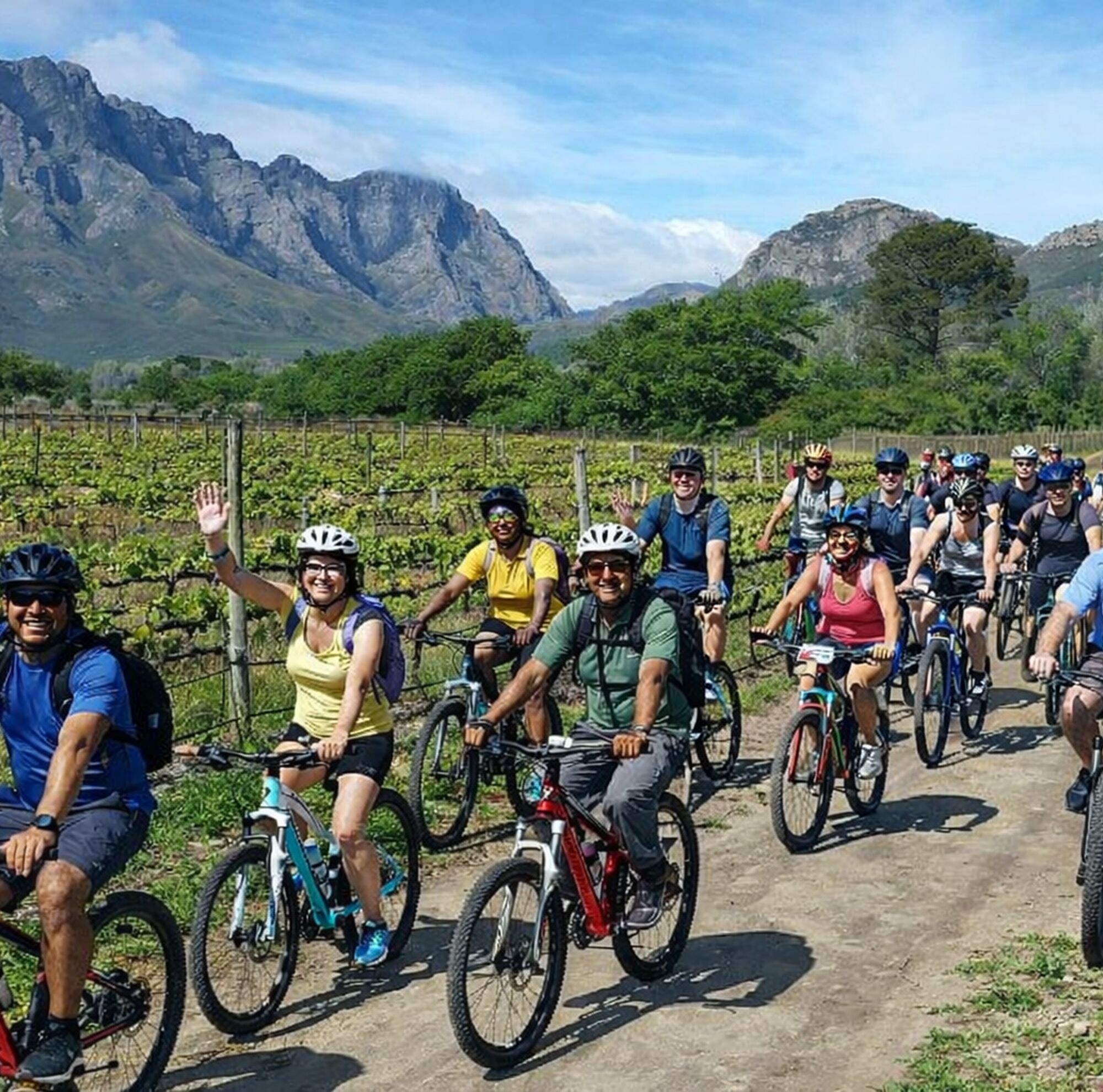 Cyclers in Winelands