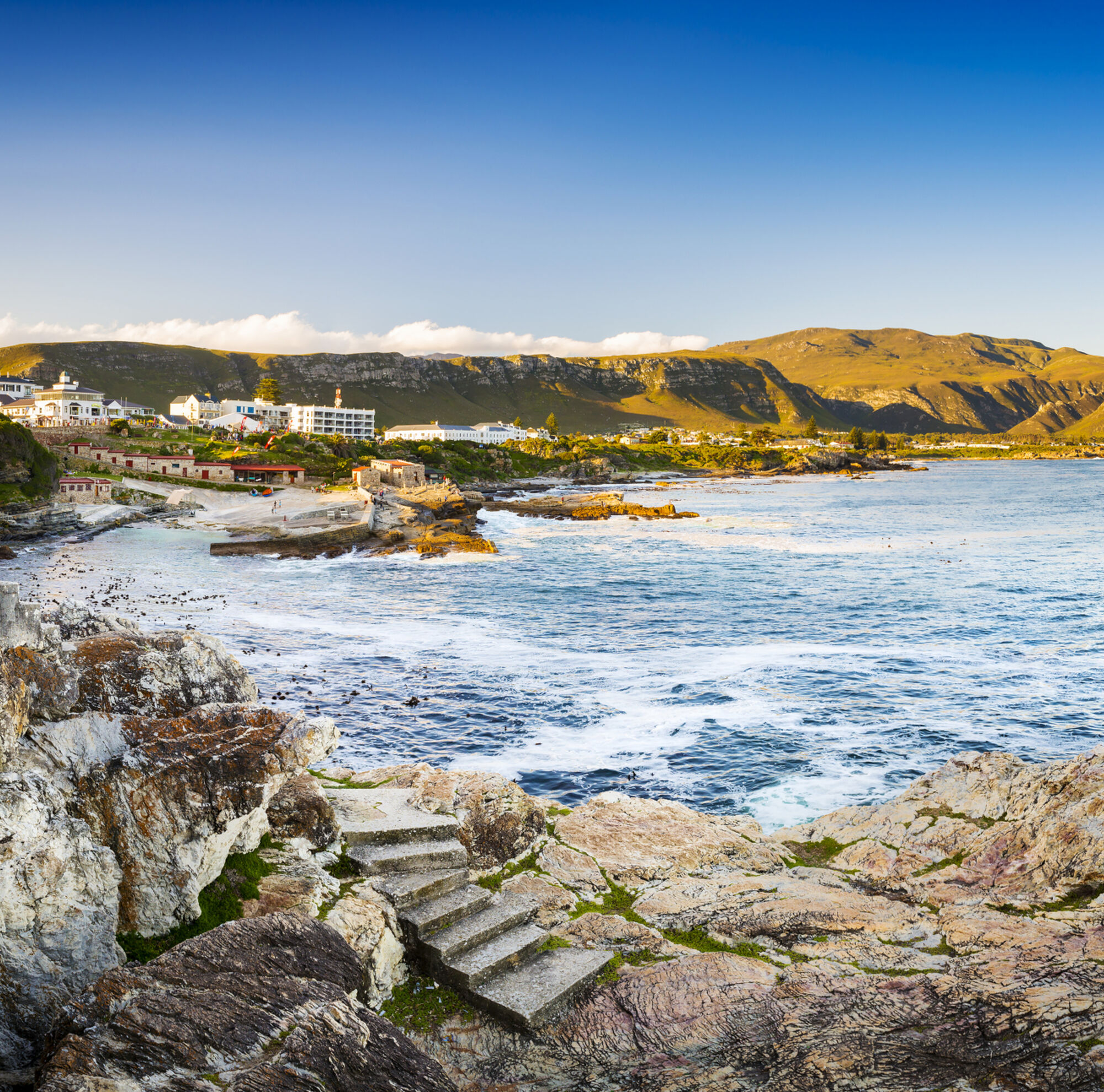 Shutterstock 516895546 Shutterstock 516895546