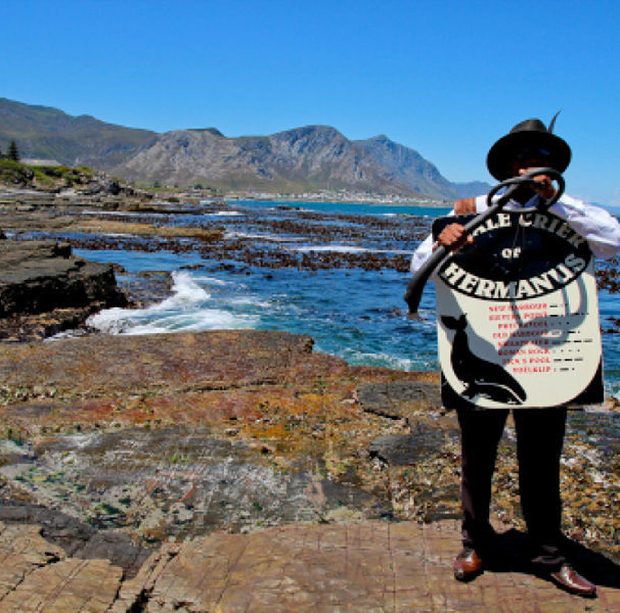 Whale watching 3 Whale watching 3