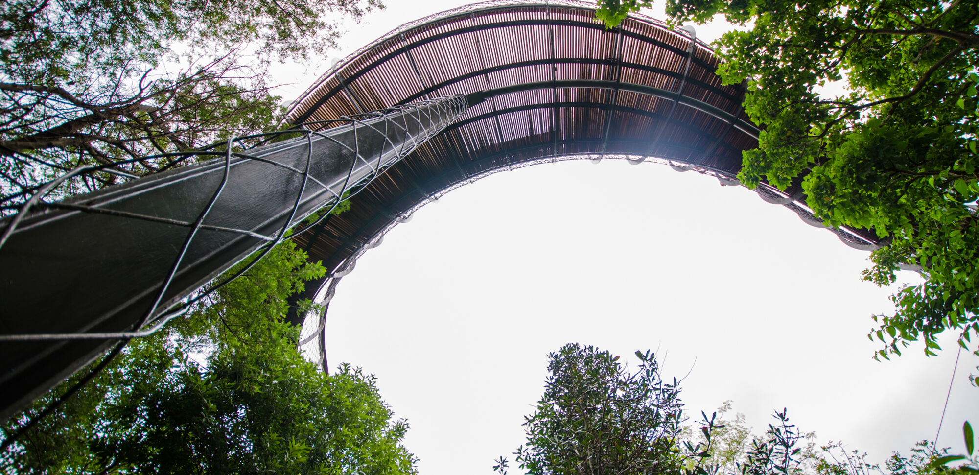 Top Attractions Kirstenbosch CTT Kirstenbosch Gardens c Lisa Burnell 35 1