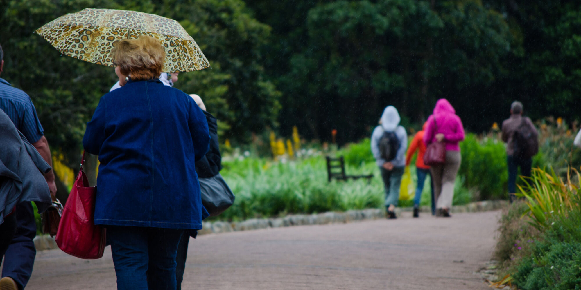 Top Attractions Kirstenbosch CTT Kirstenbosch Gardens c Lisa Burnell 14 1