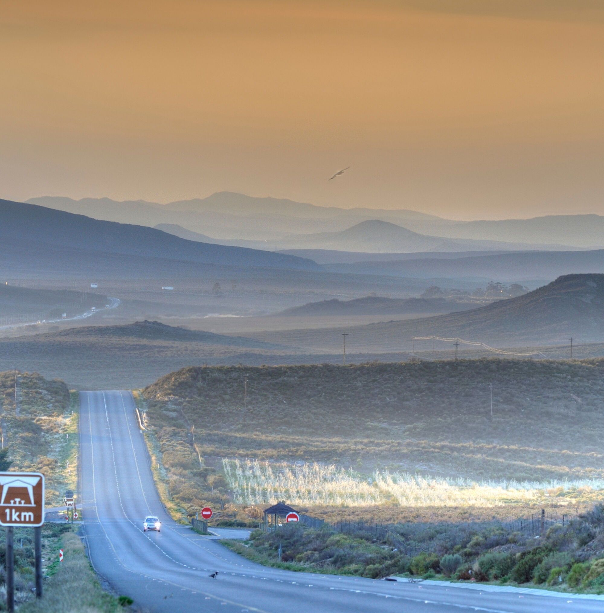 Shutterstock 1461516338